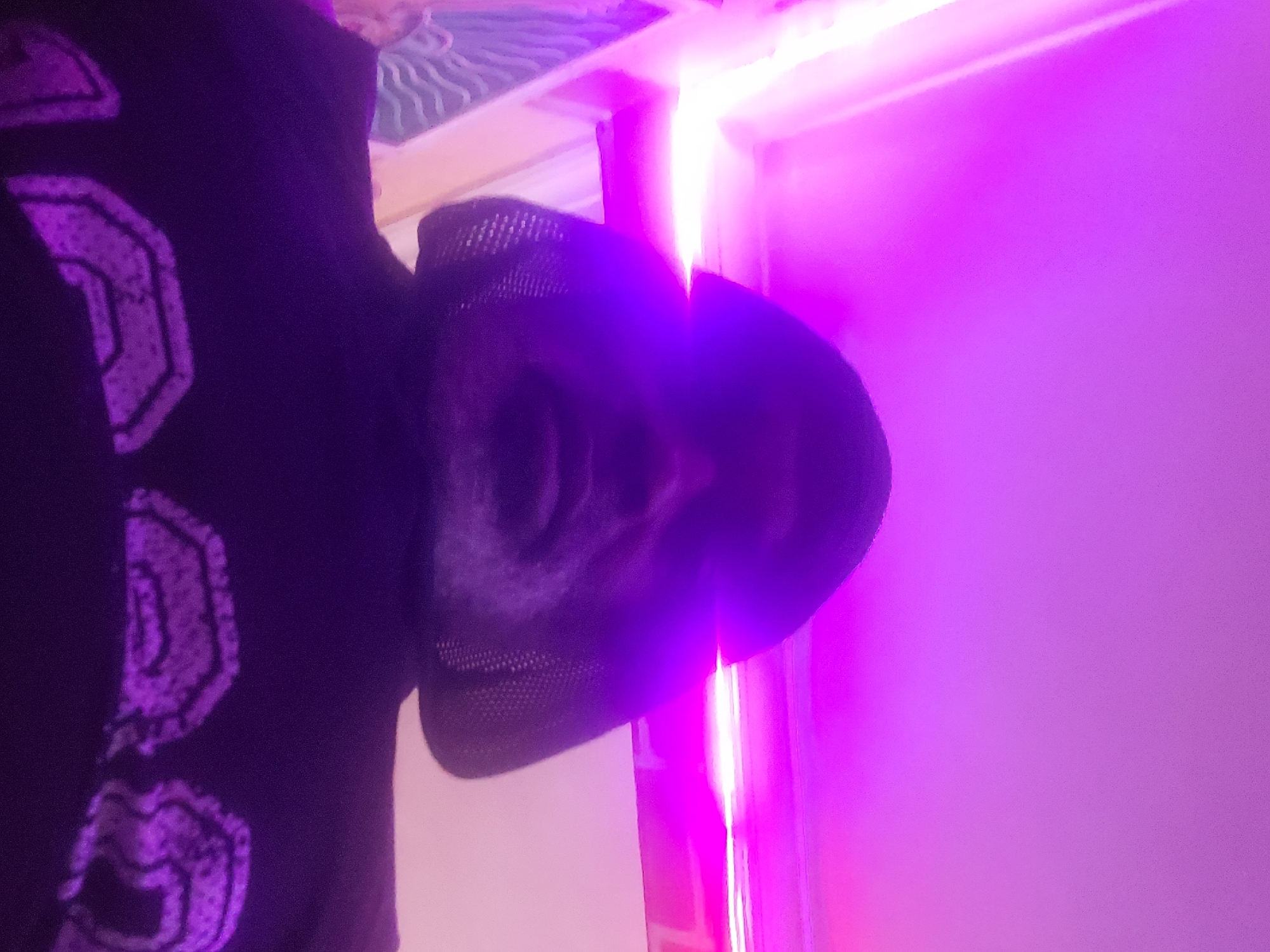 A person wearing a dark-colored hoodie with light purple designs and a dark-colored hat is standing indoors. The interior has a white wall and a bright purple light source. The location is in the city of Unknown, Unknown.