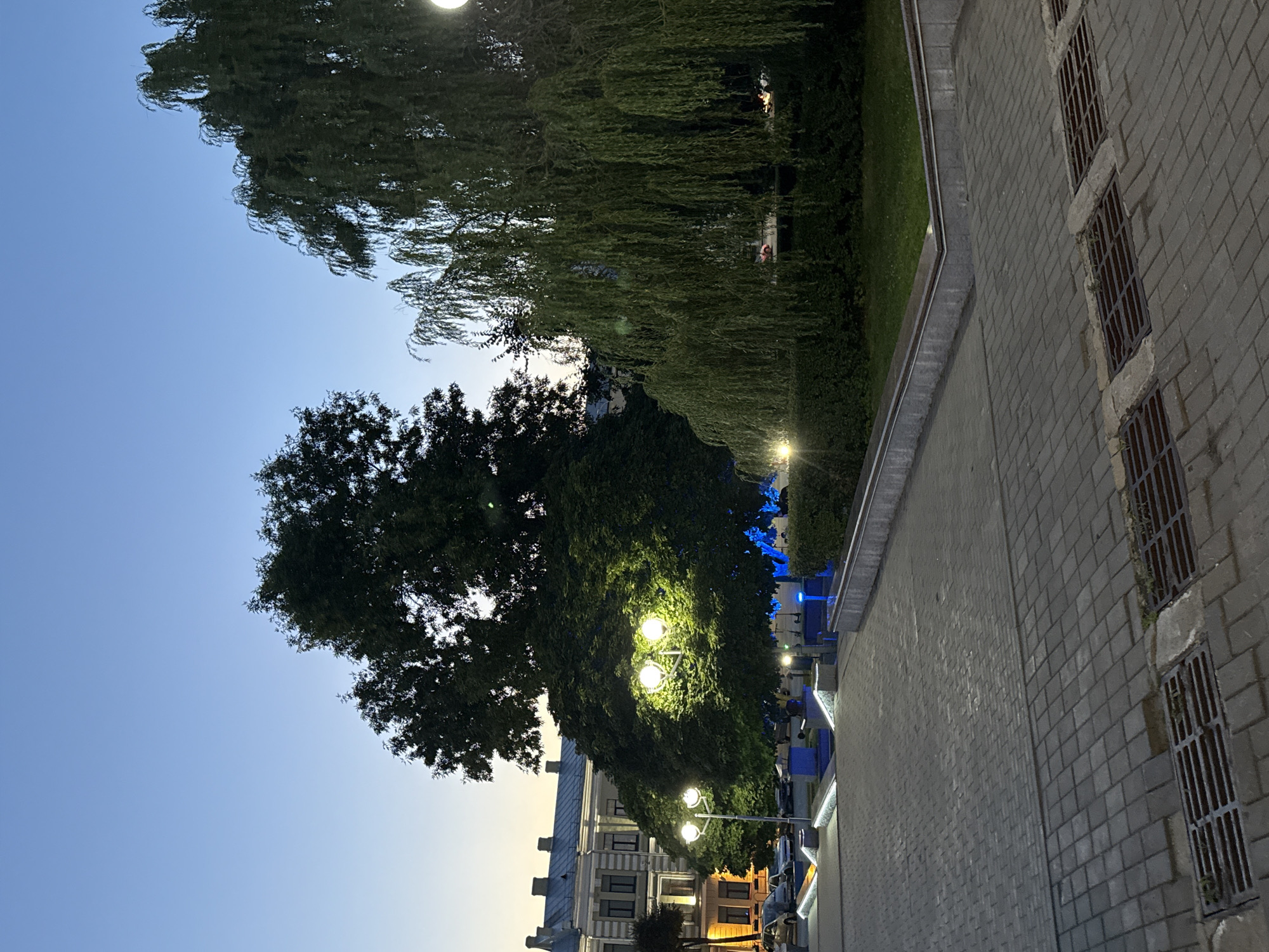 The image depicts a public space in Mahilyow, Belarus, at dusk. A paved walkway, constructed of grey interlocking bricks, dominates the foreground and leads towards the background. Two metal drainage grates are visible on the walkway.
In the mid-ground, a cluster of trees with dense foliage is illuminated by streetlights, casting a warm glow. One tree, a large weeping willow, has long, drooping branches that create a curtain-like effect. Another tree, broader and more rounded, stands beside it. Beyond the trees, a building with a light-colored facade and multiple windows can be seen. A street with parked cars is visible to the left of the building.
Several streetlights are positioned along the walkway, some emitting a bright, white light, while others appear to be integrated into illuminated planters with blue lighting. Some small scooters are parked near the illuminated planters. The sky above is a clear, pale blue, transitioning to a deeper twilight hue near the horizon. The scene suggests a well-maintained urban park or plaza area. There are no people visible in the image.