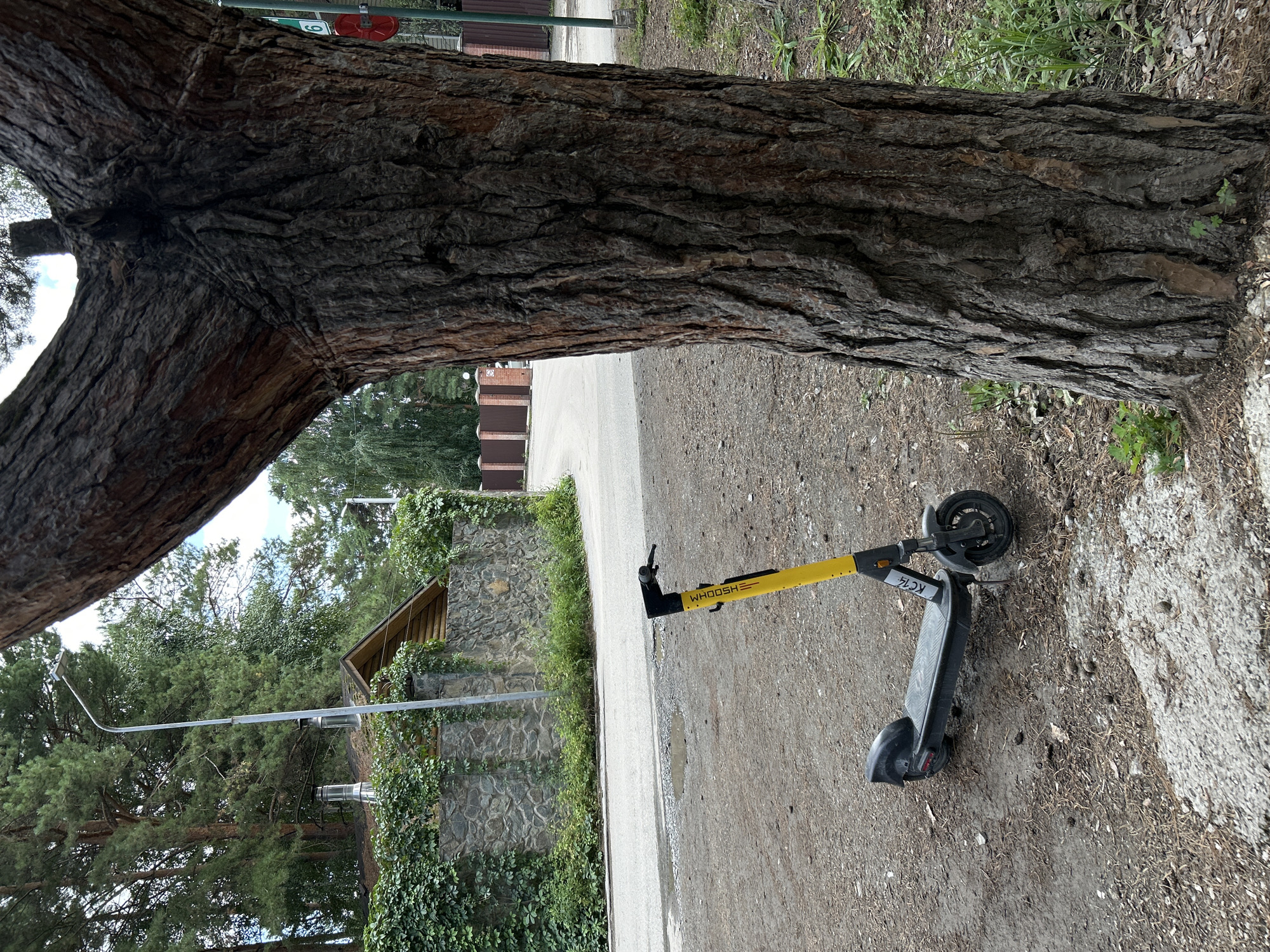 An electric scooter is parked on a gravel path next to a large tree trunk. The scooter is yellow and black, with the brand name "WHOOSH" visible on the yellow handlebar. In the background, a stone wall covered in ivy surrounds a house with a wooden roof. A street lamp stands near the wall. The scene appears to be in a residential area with a road and fence visible further in the background. The location is Berdsk municipality, Russia.