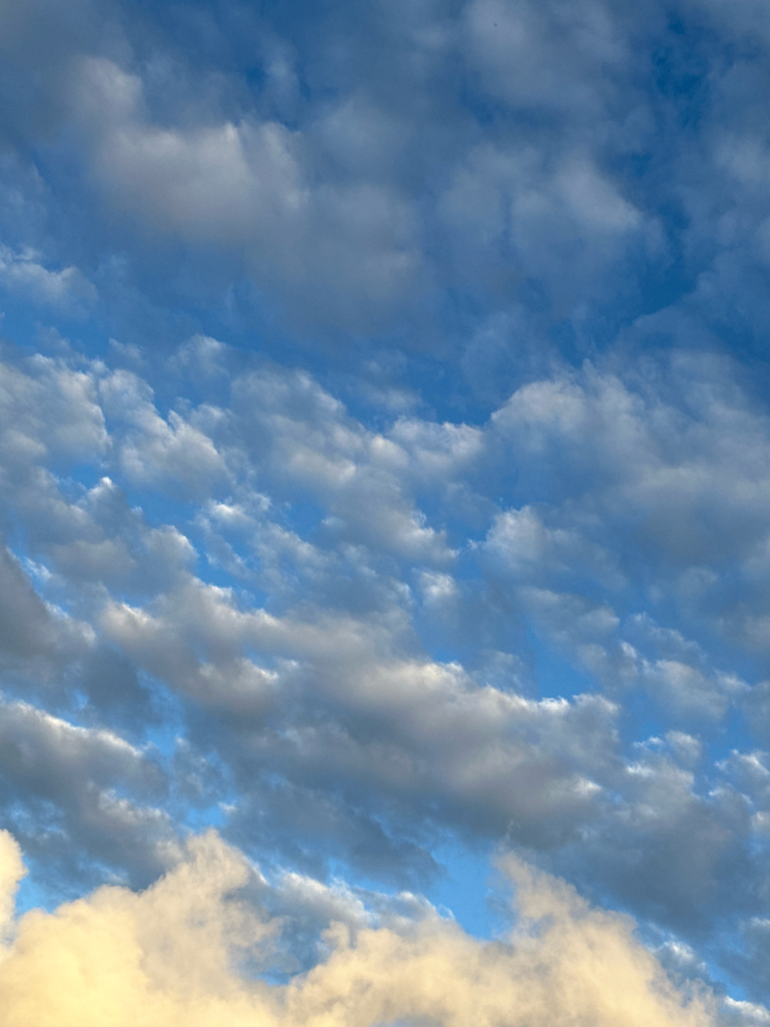 A photograph captures a sky filled with an abundance of clouds. The clouds are varied in appearance, with some appearing white and fluffy, while others are darker and more diffused. The sky itself is a vibrant blue, peeking through the gaps and lighter areas of the clouds. The lighting suggests it could be daytime, with the sun illuminating the cloud formations. There are no discernible structures, people, or objects in the image, only the natural phenomenon of clouds against a blue sky.