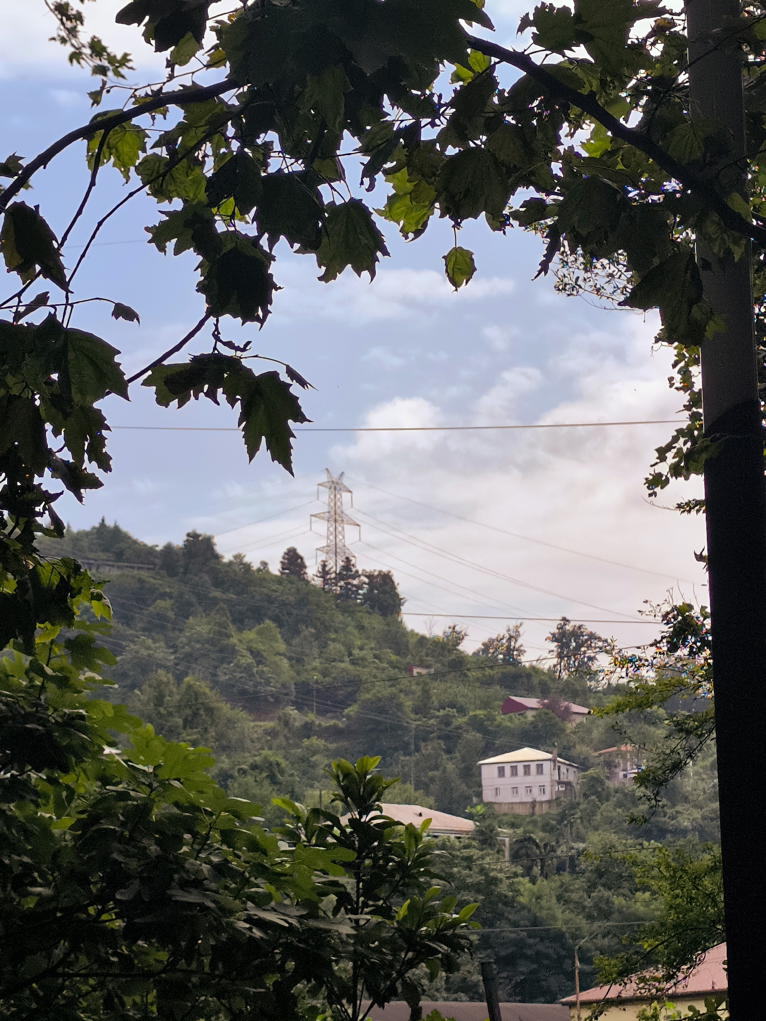 The image depicts a cloudy sky above a lush, green hillside in Batumi, Georgia. In the foreground, dark green leaves and branches frame the scene, with a utility pole on the right. In the middle ground, a series of power lines stretch across the frame, supported by a tall transmission tower on the hill. Several houses are visible nestled amongst the trees on the slope, some with red roofs. The overall impression is of a residential area on a forested hillside, likely in the outskirts of Batumi, with visible infrastructure.