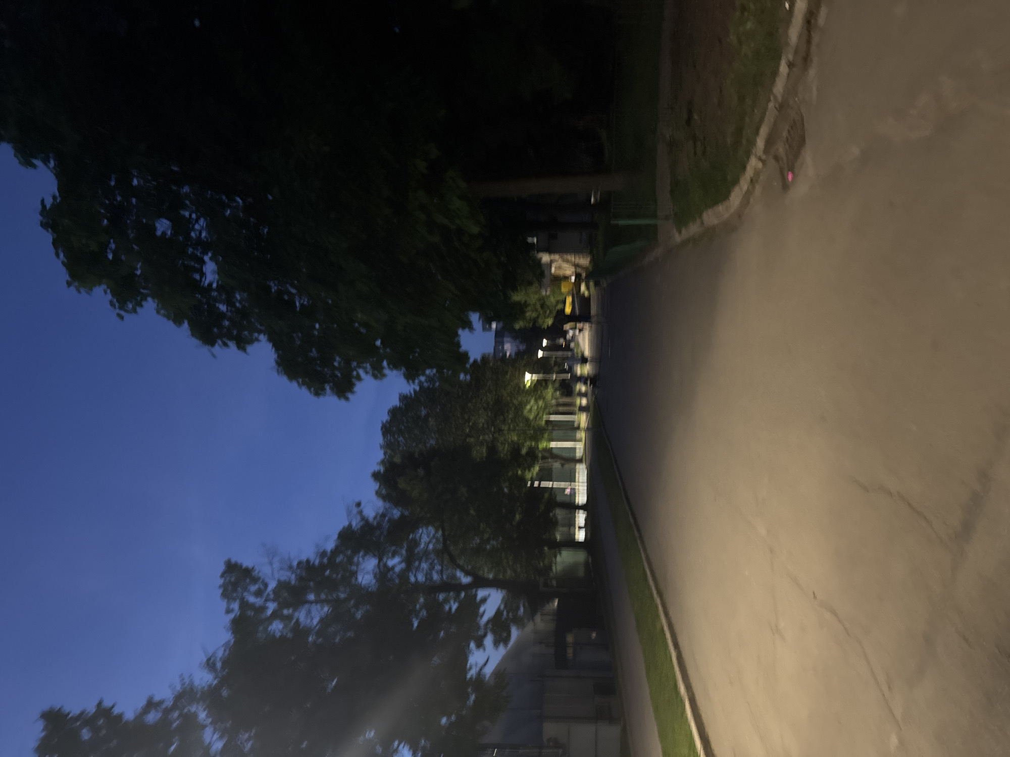 The image depicts a paved walkway or road in a park-like setting in Sofia, Bulgaria, at dusk or early night. The sky is a deep blue, transitioning from lighter hues near the horizon. Large trees with dense foliage line both sides of the walkway, with some streetlights visible, casting a warm glow on the path.
On the left side of the walkway, a long, glass-domed structure, possibly a greenhouse or a modern building with a translucent roof, is visible. Adjacent to it is a strip of well-maintained green grass. The pavement itself appears to be asphalt, with visible cracks and some discoloration.
Further down the walkway, several figures are present. Two individuals appear to be walking away from the camera, silhouetted against the lit path. Another figure, possibly on a bicycle or scooter, is also moving in the distance. The presence of streetlights suggests a public area, likely a park or a pedestrian zone.
On the right side of the walkway, more trees obscure the view of any buildings. A green metal fence is partially visible, separating the walkway from a patch of rougher ground and vegetation. A storm drain or manhole cover is present on the edge of the pavement, with a small, pink object lying near it. The overall atmosphere is peaceful and quiet, typical of an evening stroll in an urban green space.