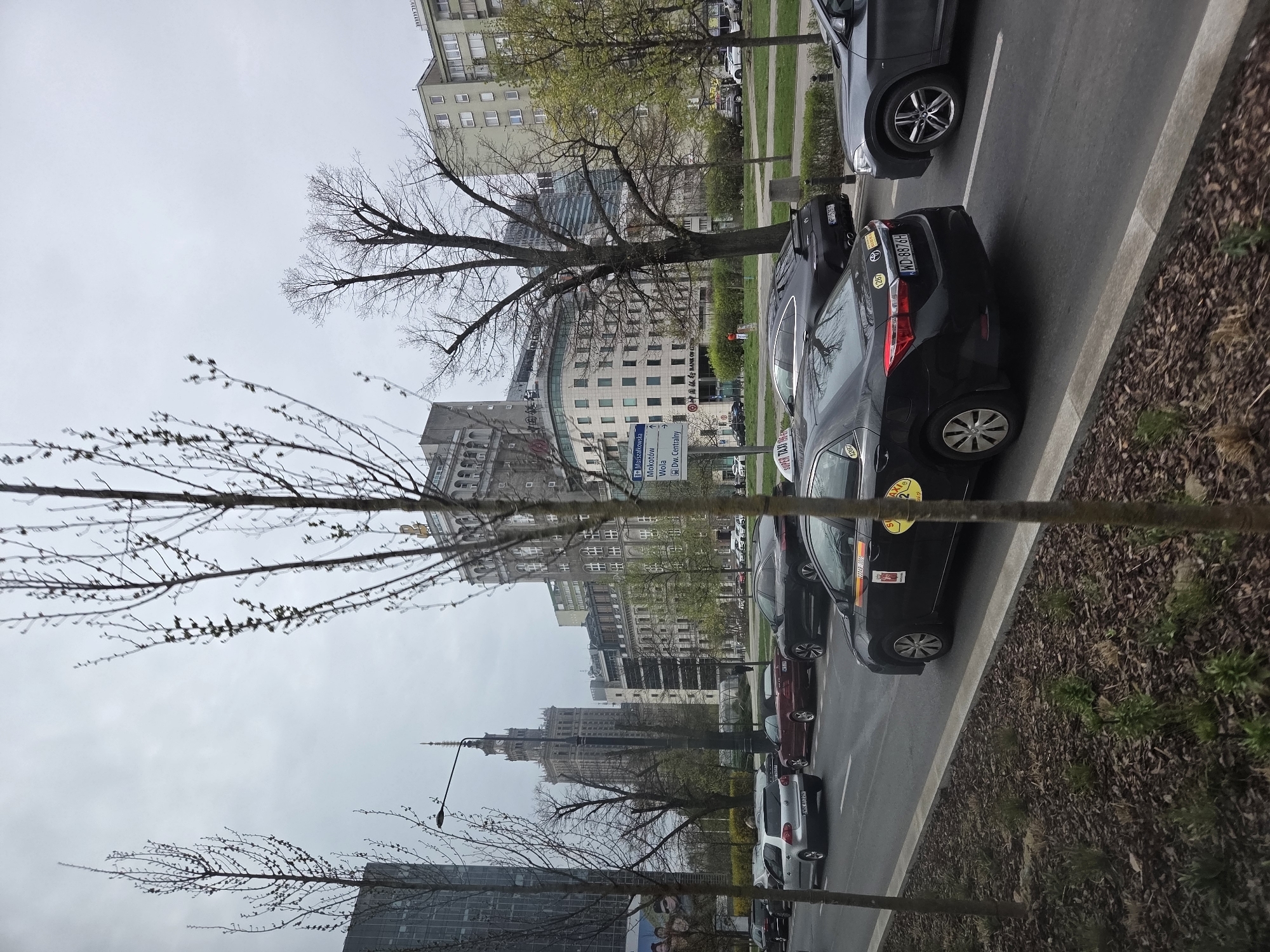 The image shows a street in Warsaw, Poland, with a row of parked cars, including taxis. The view is looking towards the Palace of Culture and Science. A street sign is visible, indicating directions to Marszałkowska, Mokotów, Wola, and Dworzec Centralny (Central Station). The BANK OF CHINA logo can be seen on a building. The sky is overcast. Trees are interspersed throughout the scene.