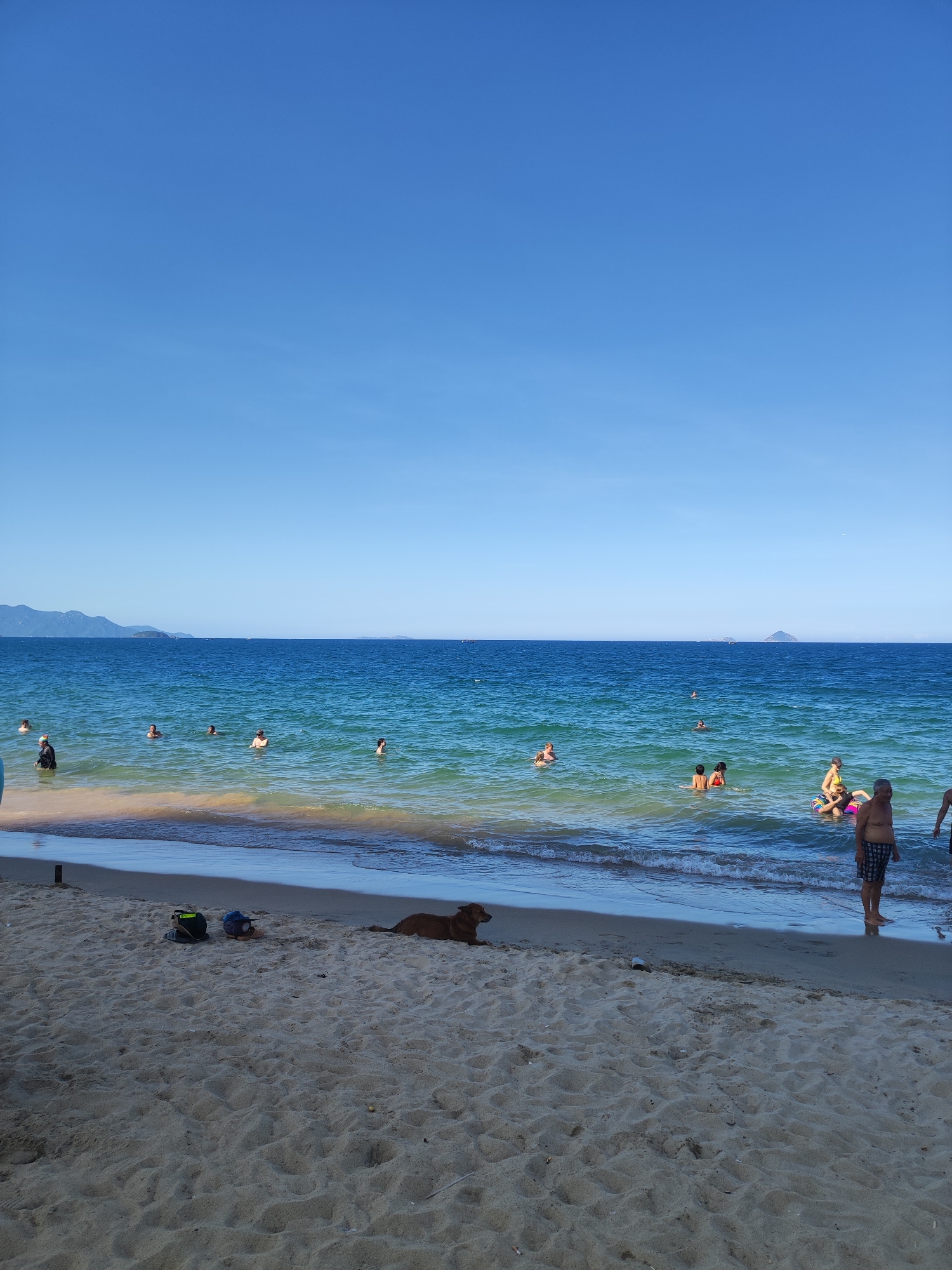 A wide shot captures a bright, sunny day at a beach in Nha Trang Ward, Vietnam. The sky is a clear, vibrant blue, stretching across the upper portion of the image. The ocean is a deep, rich blue, with lighter turquoise hues near the shore where the waves gently break upon the sandy beach. Numerous people are visible in the water, some swimming and others standing, enjoying the sea. A few individuals are further out, appearing to float or play. On the sandy shore in the foreground, two bags and a hat are placed. A brown dog is lying down on the sand, facing towards the water. To the right, a man in checkered shorts stands at the water's edge, and another man in dark shorts is partially visible. In the distance, mountains or hills are silhouetted against the horizon. The overall scene depicts a peaceful and leisurely day at the beach.