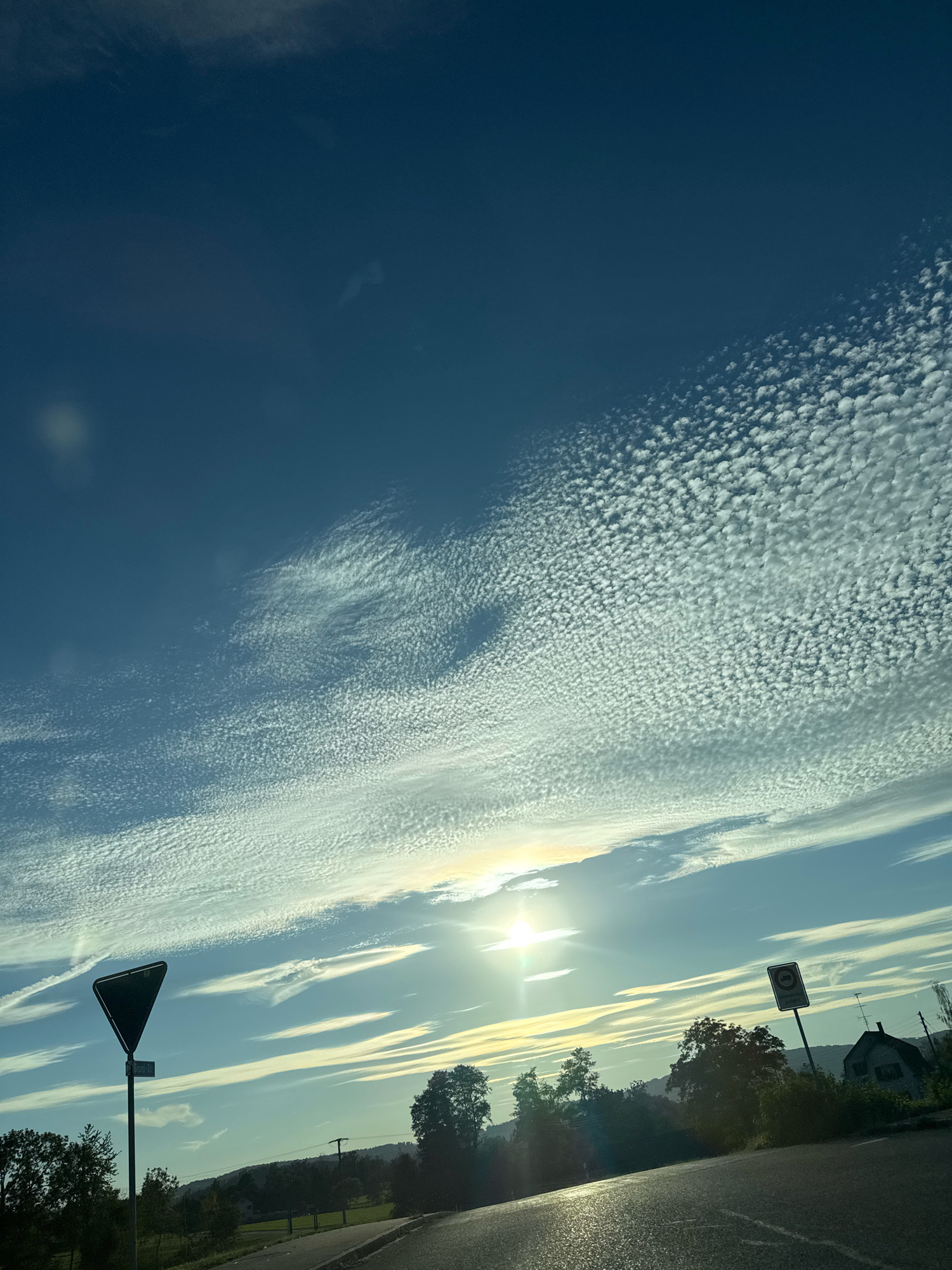 An outdoor, eye-level shot captures a bright, sunny day with a dramatic sky. The sky is a deep blue, filled with numerous white, fluffy clouds that form a textured pattern across the upper portion of the frame. Sunbeams break through, casting a bright, hazy glow. In the foreground, a road curves to the right, its surface glistening with sunlight. To the left of the road, a black triangular yield sign on a pole stands out. Further back, a line of trees forms a dark silhouette against the sky, with a few houses visible in the distance on the right side of the image. A traffic sign is also visible on the right.