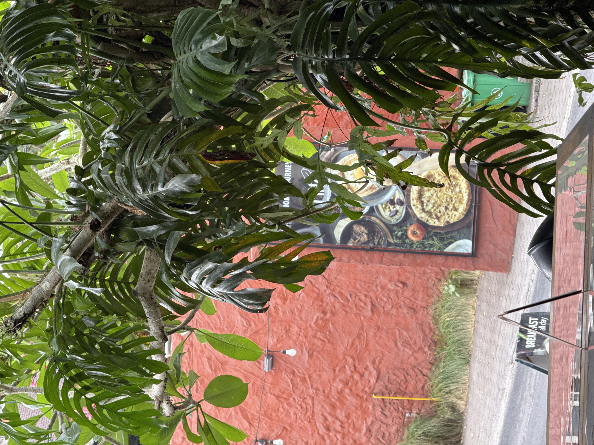 The image shows an outdoor scene in the Ubud District of Indonesia. Lush green tropical foliage dominates the frame, obscuring parts of the background. A restaurant or cafe advertises its menu with a sign that shows various food dishes. The sign is mounted on a reddish-orange textured wall. Next to the wall, a sidewalk is visible with a sign that says "Breakfast All Day". A table and chairs are set up on the sidewalk, suggesting outdoor seating. The environment is marked by tropical vegetation and urban elements.