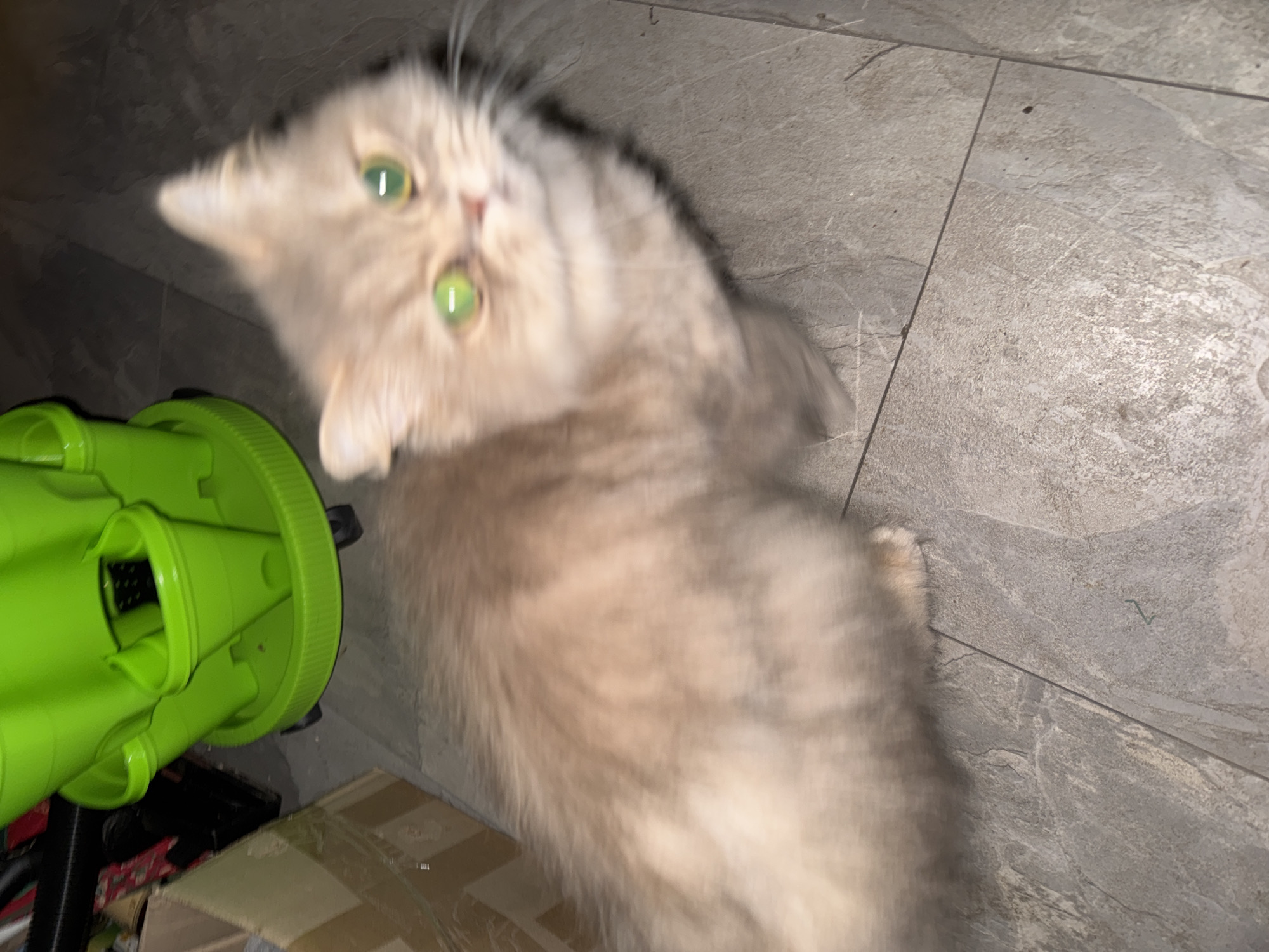A domestic cat with long, light-colored (tan/cream) fur is positioned in the foreground, facing the camera. The cat's facial features are moderately blurred, and its pupils exhibit a pronounced, vivid green "eye shine," consistent with flash photography in a low-light environment. The background on the left features a multi-tiered, neon green plastic vertical gardening or storage unit, equipped with small dark wheels on its circular base and multiple conical container attachments. Partially visible behind the cat and to the left of the green unit is a light-brown cardboard box, sealed with tape. Indistinct dark objects suggesting clutter are present behind the box and the green unit. The floor consists of large, rectangular, light-to-medium grey tiles with visible grout lines and minor surface imperfections. The scene is illuminated by artificial light, likely including a flash. The location is Unknown, Unknown.
