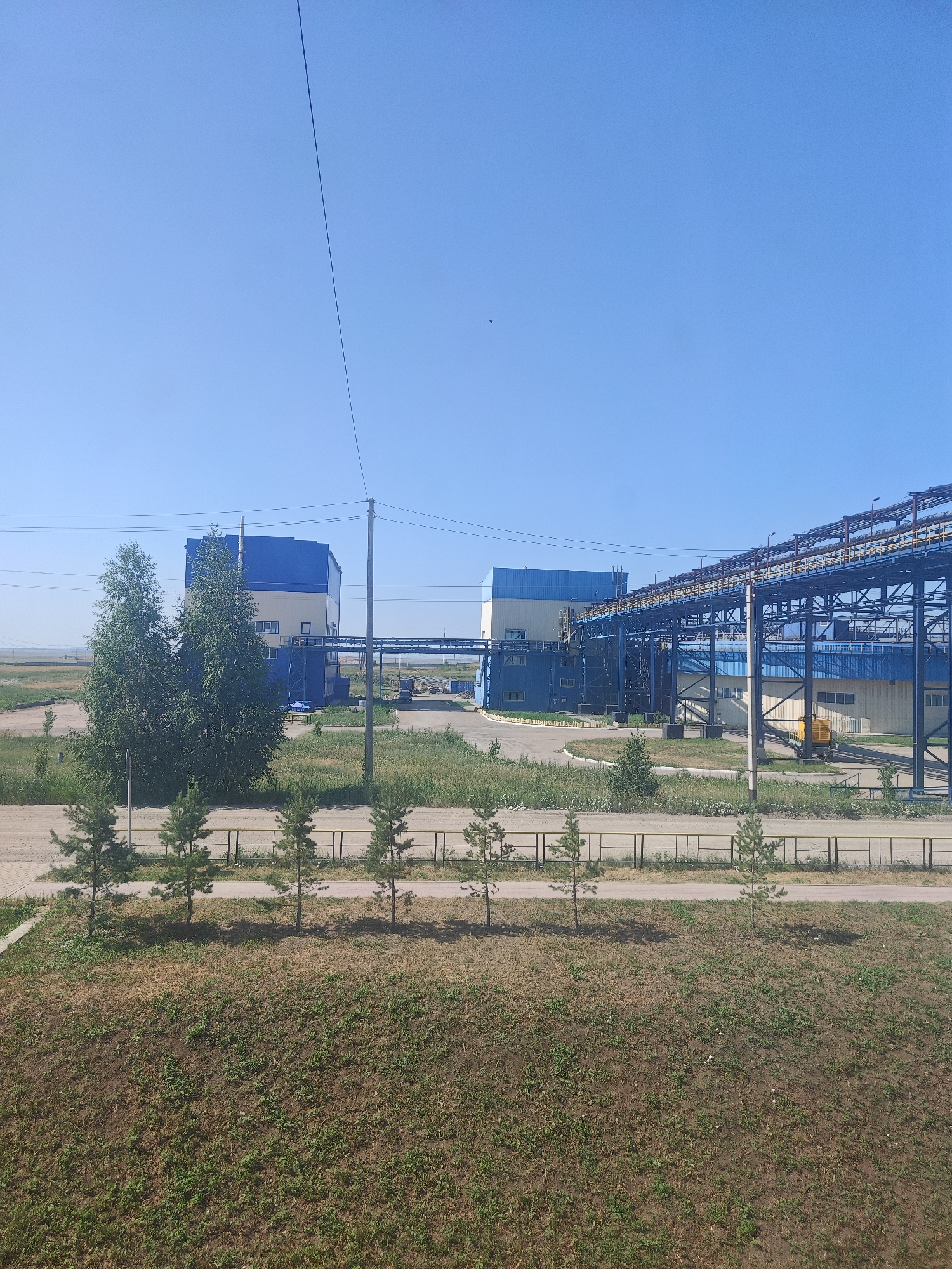 The image shows an industrial facility with several large buildings and extensive pipe racks under a clear blue sky. The buildings are primarily blue and beige. In the foreground, there is a grassy embankment with several young pine trees planted in a line behind a yellow fence. A paved road or pathway runs behind the fence, and beyond that, more industrial structures and vegetation are visible. The overall scene suggests a working industrial site in a rural or semi-rural setting. There are no people or animals visible in the image. The location is stated to be Дүңгілағаш, Kazakhstan.