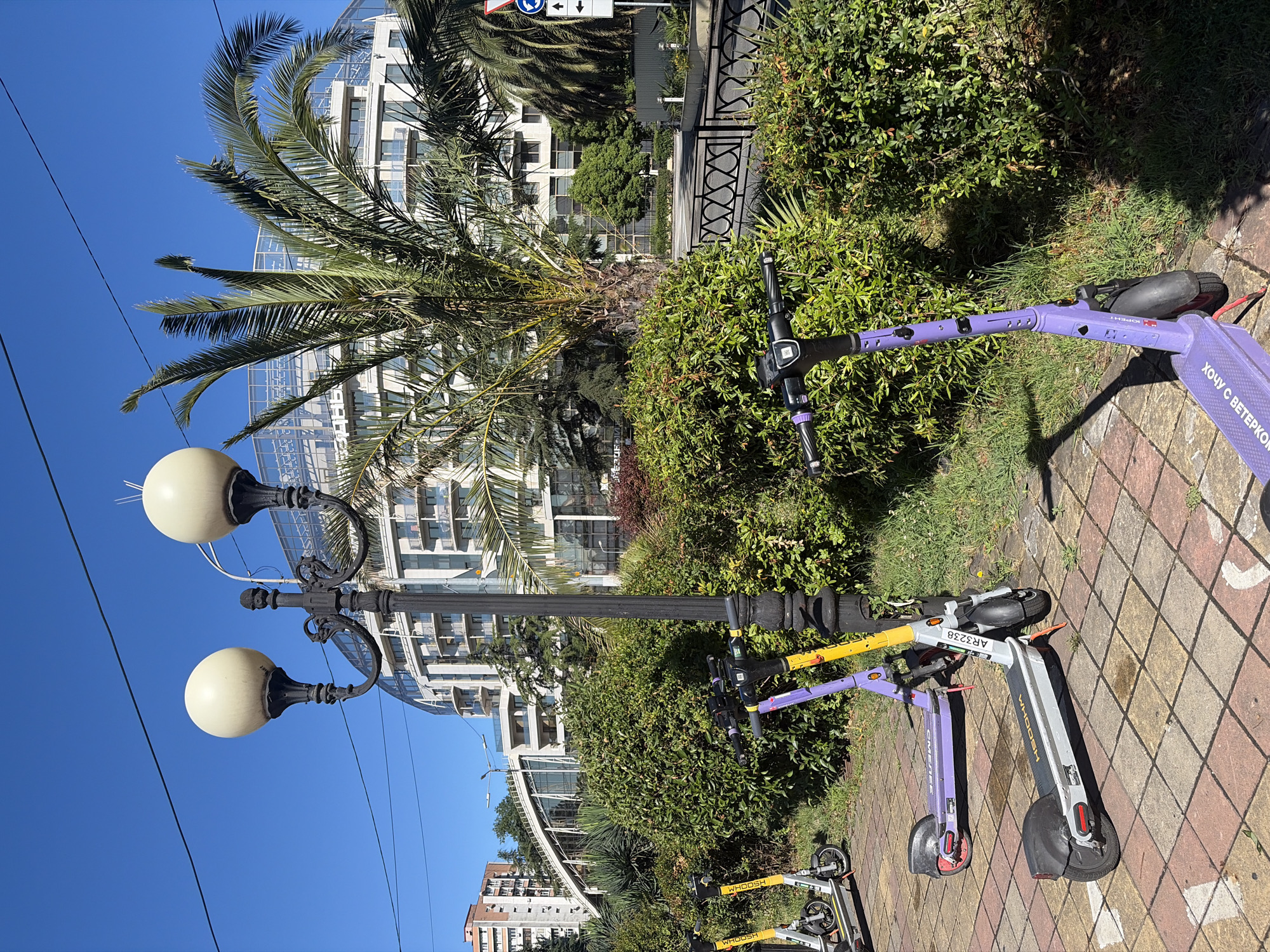 The image depicts a sunny day scene in Sochi, Russia, likely in a park or along a promenade. In the foreground, several electric scooters are parked on a paved walkway. The scooters are a mix of purple, yellow, and white, with some displaying visible branding like "WHOSH" and "AR3238". Behind the scooters, lush green bushes and trees form a dense hedge. A classic black lamppost with two ornate spherical lamps stands prominently in the mid-ground. Further back, a modern, multi-story building with curved glass facades and numerous balconies is visible, partially obscured by palm trees. The sky is a clear, bright blue. The overall impression is one of a clean, well-maintained urban public space.