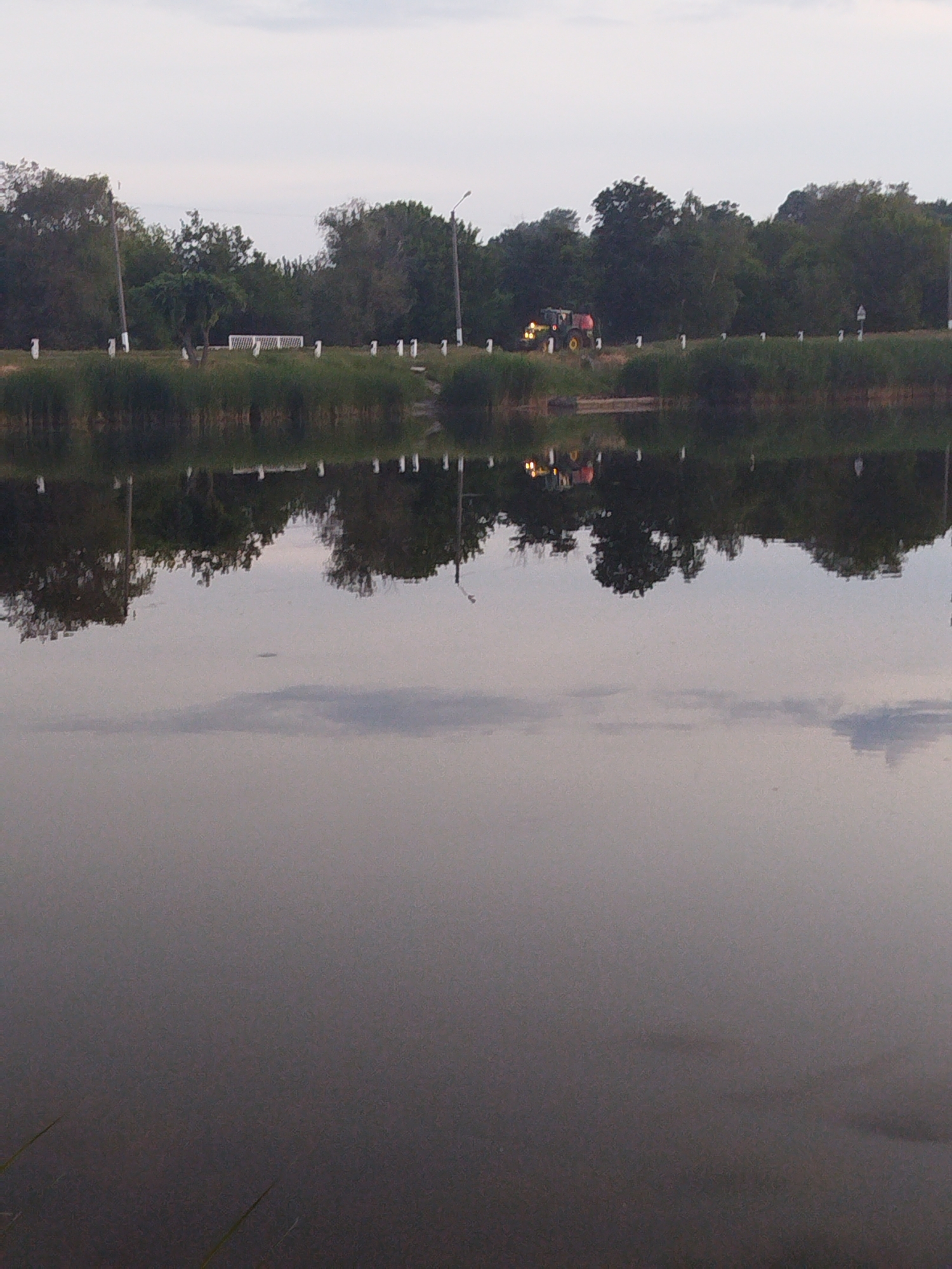 This detailed image captures a waterside landscape, identified as being in the city of Ustyvytsia, Ukraine, likely during dawn or dusk under an overcast sky. The lower half of the frame is dominated by the still, dark gray-purple surface of a body of water, which perfectly reflects the muted sky and objects from the opposite bank. Faint, light gray cloud formations are discernible in the water's reflection.
The mid-ground features the opposing bank, lined with green reeds and tall grass at the water's edge. Behind this vegetation, a horizontal path or road is evident. Along this path, a series of uniform white posts or bollards are spaced at regular intervals. Several white benches are positioned further back from the water, with a larger white bench-like structure prominent on the left. Two operational streetlights, one on the far left and another on the far right of the bank, are visible. A green and red tractor is located on the right side of the path, displaying illuminated yellow-orange lights, which create a distinct reflection on the water's surface. A white sign is also visible on the far right of the bank, behind the tractor.
The background consists of a dense, dark green treeline spanning the entire horizon. Above the treeline, the sky is uniformly overcast with light gray clouds. No human figures are present in the scene.