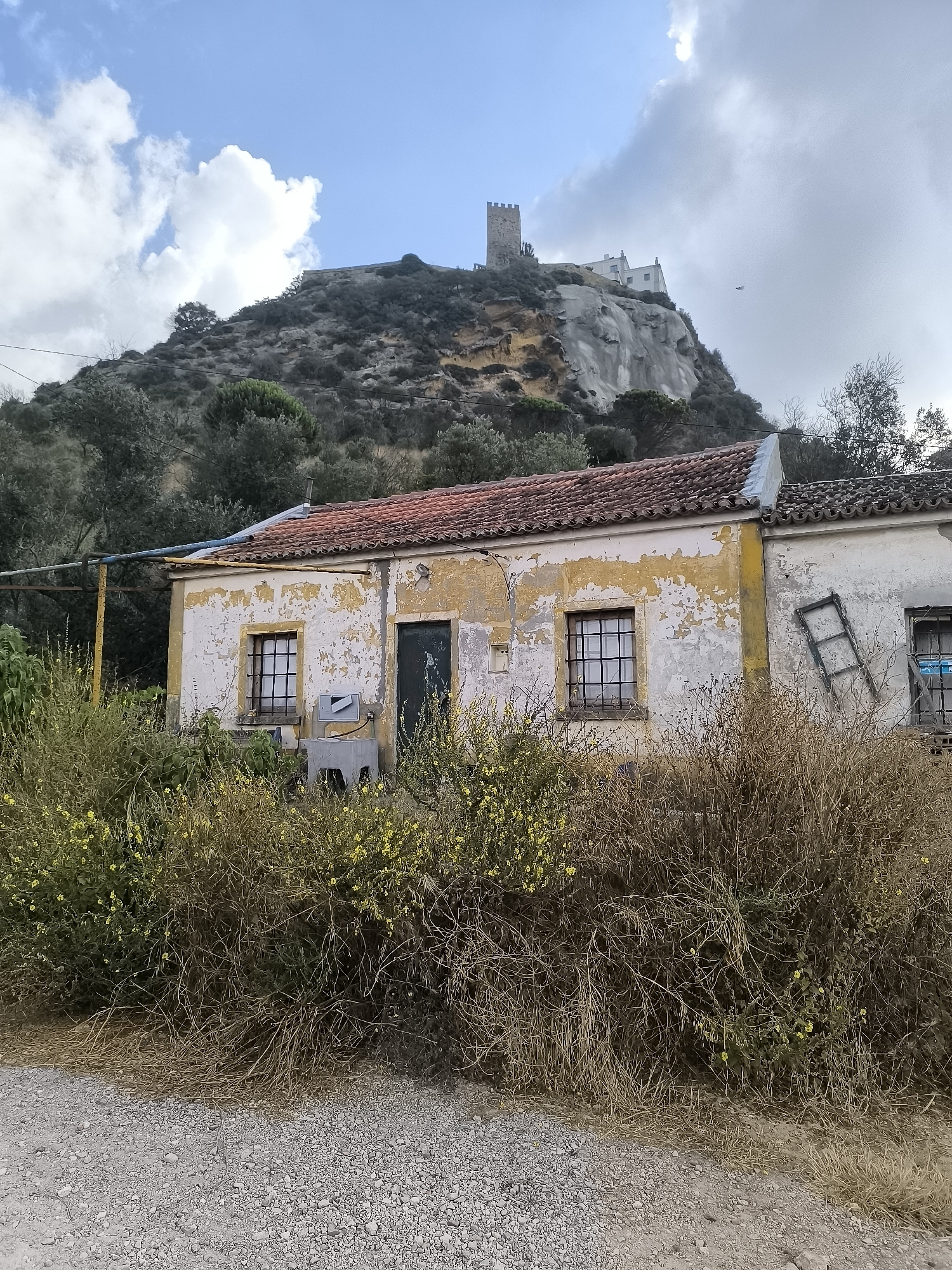 In the city of Palmela, Portugal, a rural scene unfolds with an old, weathered house in the foreground and a castle perched atop a hill in the background. The house, painted in faded yellow and white, exhibits peeling paint and a red tiled roof. It has two windows with iron bars and a dark-colored door. In front of the house, a dense patch of dry, yellowing bushes with small yellow flowers partially obscures the structure. A gravel path runs along the bottom of the image. Behind the house, a steep, rocky hill rises, covered with sparse vegetation and trees. At the summit of the hill stands a medieval castle with a prominent tower, accompanied by white buildings. The sky above is partly cloudy with a mix of white and gray clouds. The overall impression is one of age and desolation in a picturesque, historical setting.