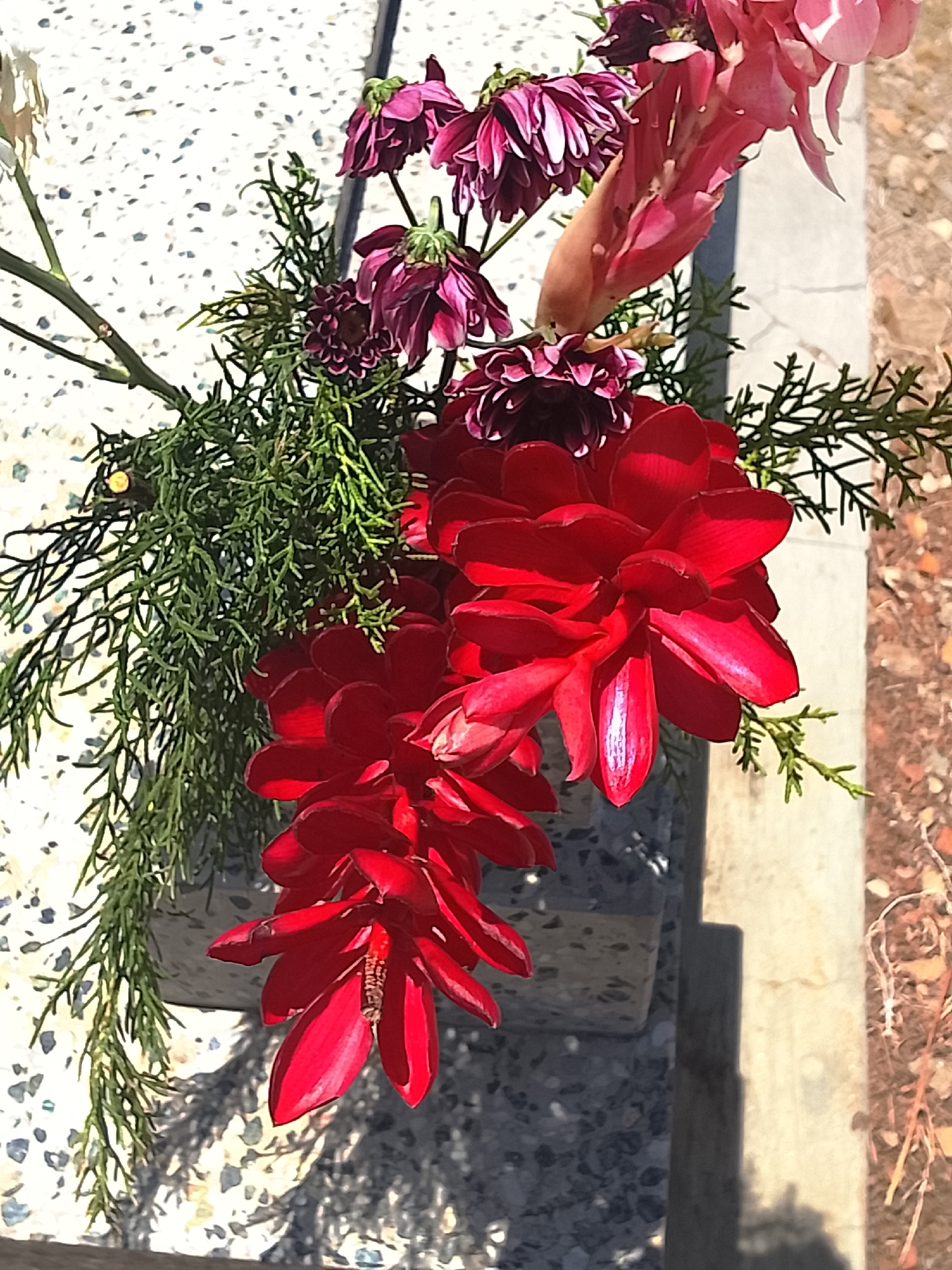 The image shows a flower arrangement in Altagracia, Venezuela. The arrangement features red ginger flowers as the dominant element, along with purple chrysanthemums, pink ginger flowers, and green foliage. The flowers are placed on a light-colored surface with a speckled pattern. A concrete structure is visible behind the flowers, partially shaded. The background to the right shows dry, reddish-brown earth and sparse vegetation.