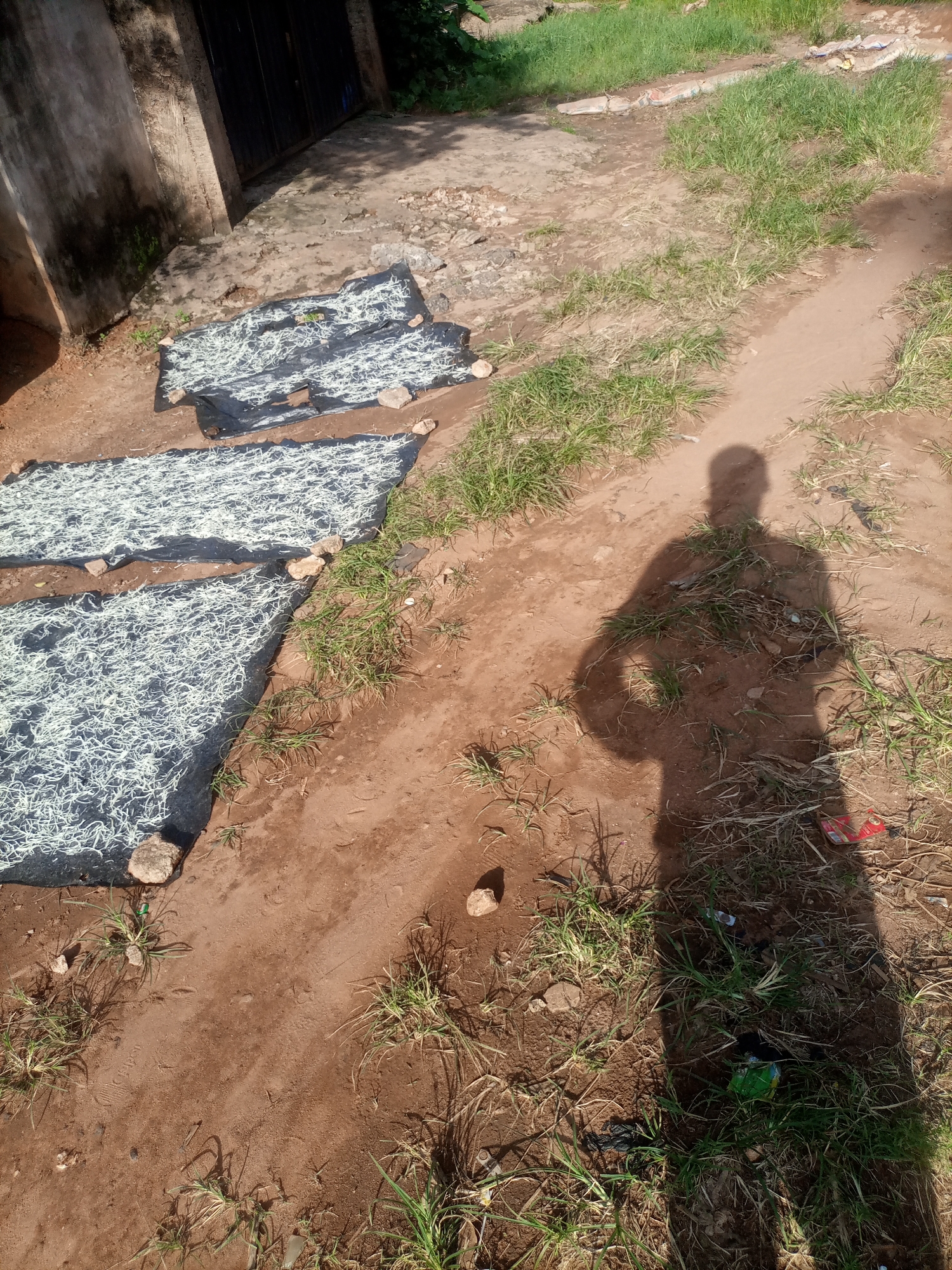 In Nkpor, Nigeria, in an outdoor setting, approximately three rectangular black tarps are laid out on the dusty ground. Each tarp is covered with a white, string-like material, possibly food items being dried. The tarps are secured with rocks. A prominent shadow of a person stands in the foreground, cast across the ground and some sparse grass. To the left, a section of a concrete wall with a dark doorway is visible. The environment appears to be a less-developed area, with dirt paths and patchy vegetation. Scattered debris, including a red and white packet and some plastic, is present on the ground.