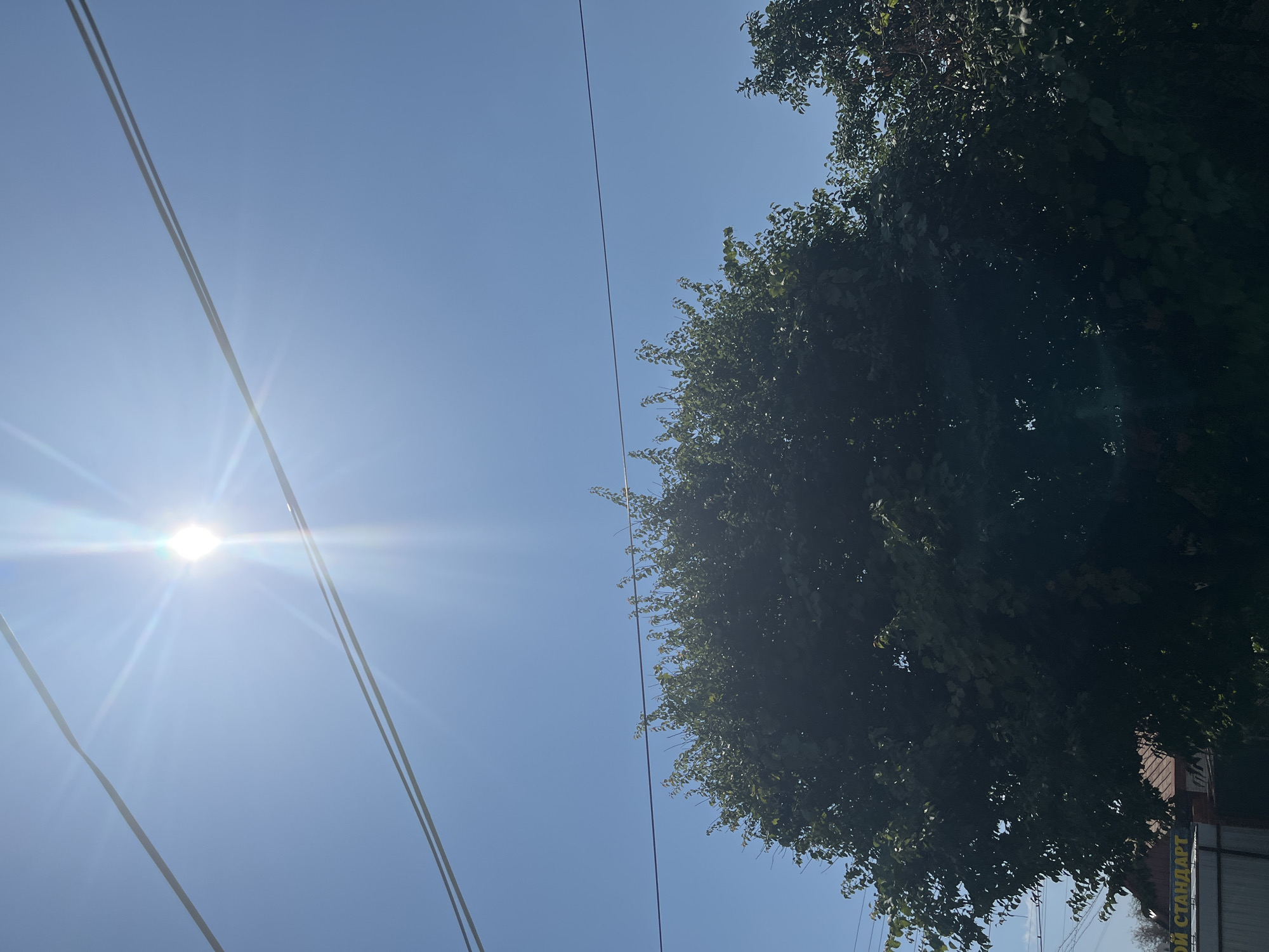 The image depicts a clear blue sky with the sun shining brightly, creating a lens flare. Two parallel power lines stretch horizontally across the upper portion of the frame. Below the sky and power lines, the upper branches of a large, leafy green tree dominate the center and left side of the image. To the right, the upper branches of another, slightly smaller tree are visible. In the lower left corner, a partial view of a white metal fence is present, with a red-roofed building partially obscured by the foliage of the main tree. Text in Cyrillic, "ой СТАНДАРТ", is visible on a sign near the fence. The overall scene appears to be an outdoor setting, likely in a residential or semi-urban area, during daylight hours.