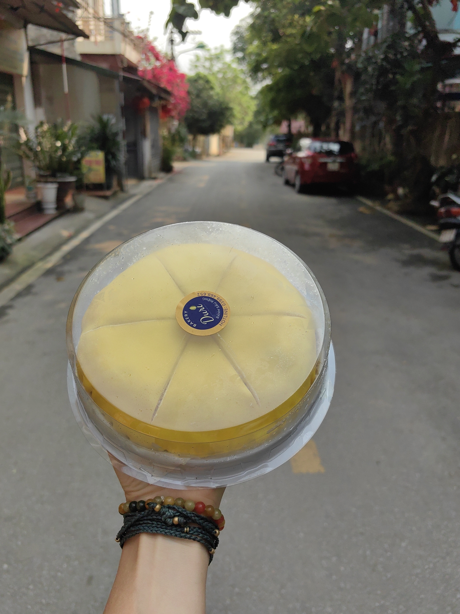 In Thành phố Hà Giang, Vietnam, a person holds a cake in a clear plastic container with a yellow filling. The cake is pre-sliced into approximately six portions and has a sticker on top. The person is wearing multiple beaded bracelets on their wrist. They are standing on a grey asphalt road with a faded yellow stripe down the center. Buildings and foliage line the sides of the road, with hints of red bougainvillea flowers. Vehicles are parked further down the street.