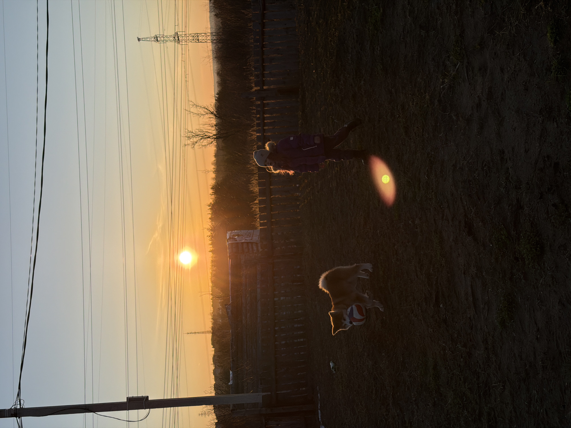 The image depicts a scene at sunset near Chaikovsky, Russia. An individual in a winter coat, hat, and dark trousers is present near a fence line. A dog is visible in the foreground, holding a striped ball. Overhead power lines and a transmission tower are in the background, silhouetted against the setting sun. The ground is covered in sparse vegetation.