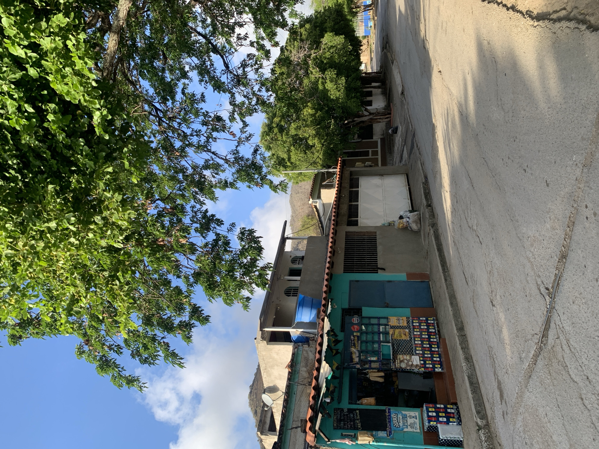This image depicts a street scene in Santa Ana, Venezuela, characterized by a small, colorful storefront on the left side of the frame. The storefront, painted turquoise and featuring an orange awning, appears to be a convenience store or small shop, with various items displayed both inside and outside. Signs with text and images, including what appears to be beverage branding like Coca-Cola, are visible on the exterior. Adjacent to the shop is a residential building with a light-colored facade and a red-tiled roof. Further down the street, a white garage door is visible, along with more trees and buildings. The street itself is paved with asphalt, showing signs of wear and tear with cracks and uneven surfaces. Large trees with lush green foliage provide shade over the street and sidewalk. The sky is blue with scattered white clouds, suggesting fair weather. In the background, hills or mountains are faintly visible. The overall impression is that of a quiet, somewhat weathered urban environment in a tropical or subtropical setting. There are no people visible in the image.