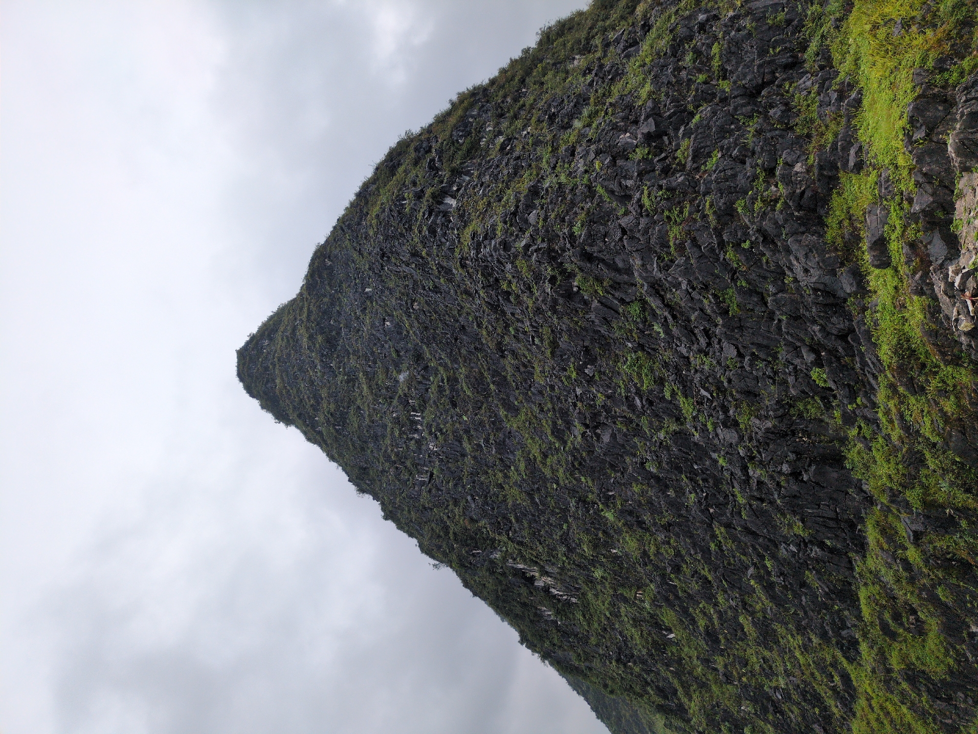 A sharp, conical limestone karst mountain dominates the frame, covered in dense green vegetation and dark, craggy rocks. The mountain's peak tapers to a point against an overcast, grey sky filled with diffused light. The lower slopes are a mosaic of dark grey rock formations interspersed with vibrant green moss and small plants. Some larger rocks are visible at the very bottom of the image. This geological feature is located in Đồng Văn Commune, Vietnam, known for its dramatic karst landscapes.