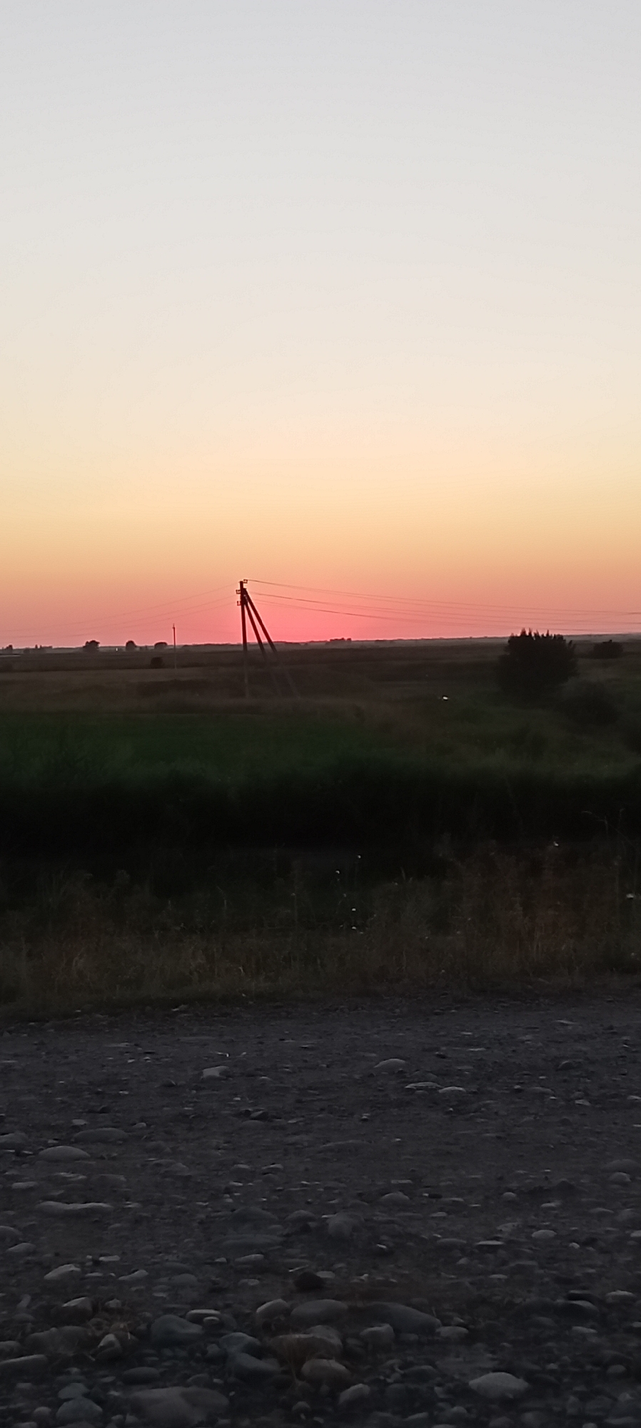 A vertical, full shot captures a rural landscape at dusk. The sky is a gradient of pale yellow to soft pink, transitioning to a light grey at the top. A wooden electricity pole with wires stands prominently in the mid-ground, silhouetted against the colorful sky. Beyond the pole, a flat horizon is dotted with dark, indistinct shapes of trees and structures, hinting at a distant settlement. The foreground is a gravelly path, with scattered stones of varying sizes and textures. A band of dry grass and vegetation borders the path. The scene appears to be located in the vicinity of Aral, Kyrgyzstan.