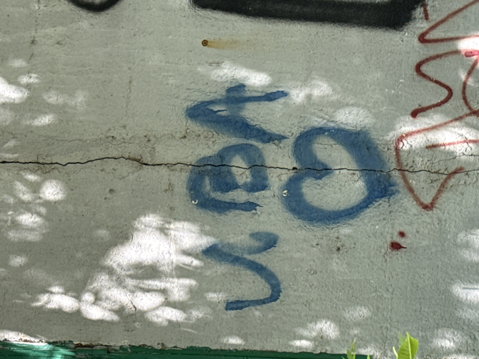 The image shows a close-up of a concrete wall with graffiti. The graffiti consists of blue spray-painted letters and a heart shape. There is also some red graffiti in the lower right corner. The wall appears to be outdoors, with sunlight casting shadows of leaves on its surface. A crack runs vertically down the center of the wall. The location is identified as Pleven, Bulgaria.