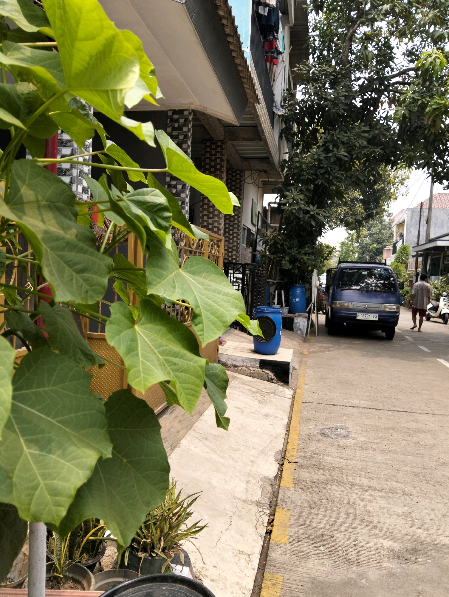 In Cileungsi, Indonesia, a blue van is parked on a street lined with buildings and trees. A person is walking away from the van towards a white scooter. In the foreground, large green leaves from a plant overhang the scene, partially obscuring a building with a yellow gate. The street is made of concrete with a yellow line marking the edge. Two blue barrels are visible on the sidewalk. The overall impression is a typical street scene in a residential or commercial area.