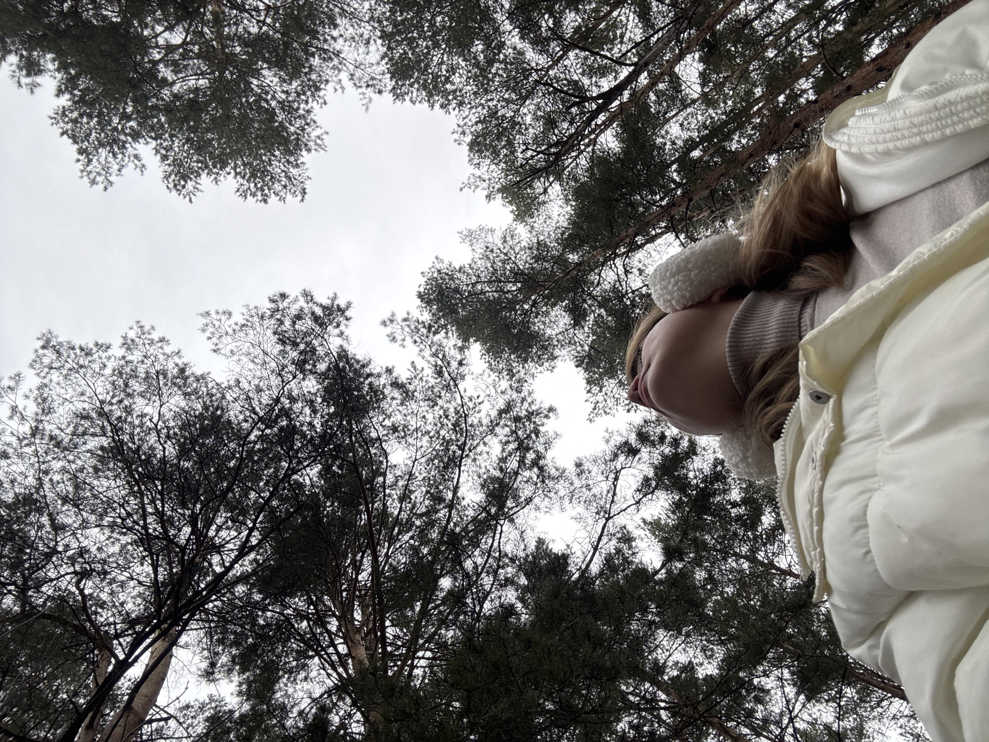 The image shows a low-angle perspective looking up through the branches of tall trees toward a grey, overcast sky. In the lower right, a person is partially visible, wearing a light-colored jacket, a beige sweater, and a white fuzzy headband. The scene appears to be set in a forest. It is difficult to confirm the location in Chaikovsky, Russia without additional visual or contextual evidence.