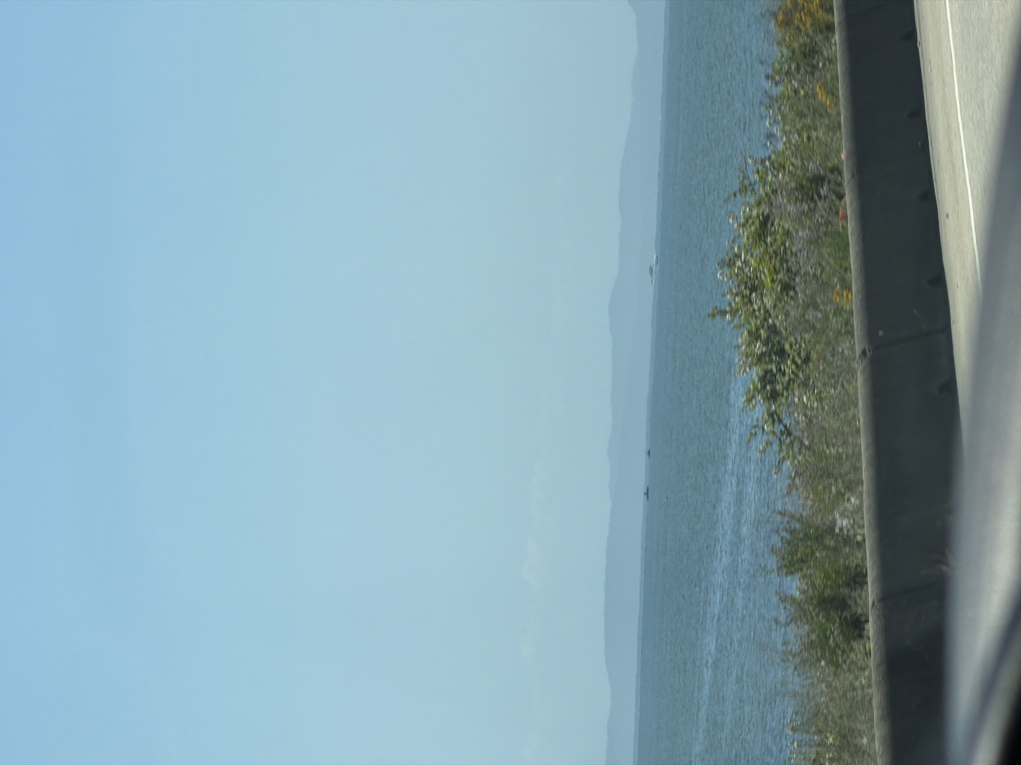 The image shows a view of the ocean from a roadside in Delta, Canada. The sky is clear and blue. The water is a deep blue, with some ripples and a few distant boats visible. Along the shoreline, there is a line of green vegetation with some purple and yellow wildflowers. A concrete barrier separates the road from the vegetation. The road itself is paved and has a white line marking the edge. The overall scene is serene and suggests a sunny day.
