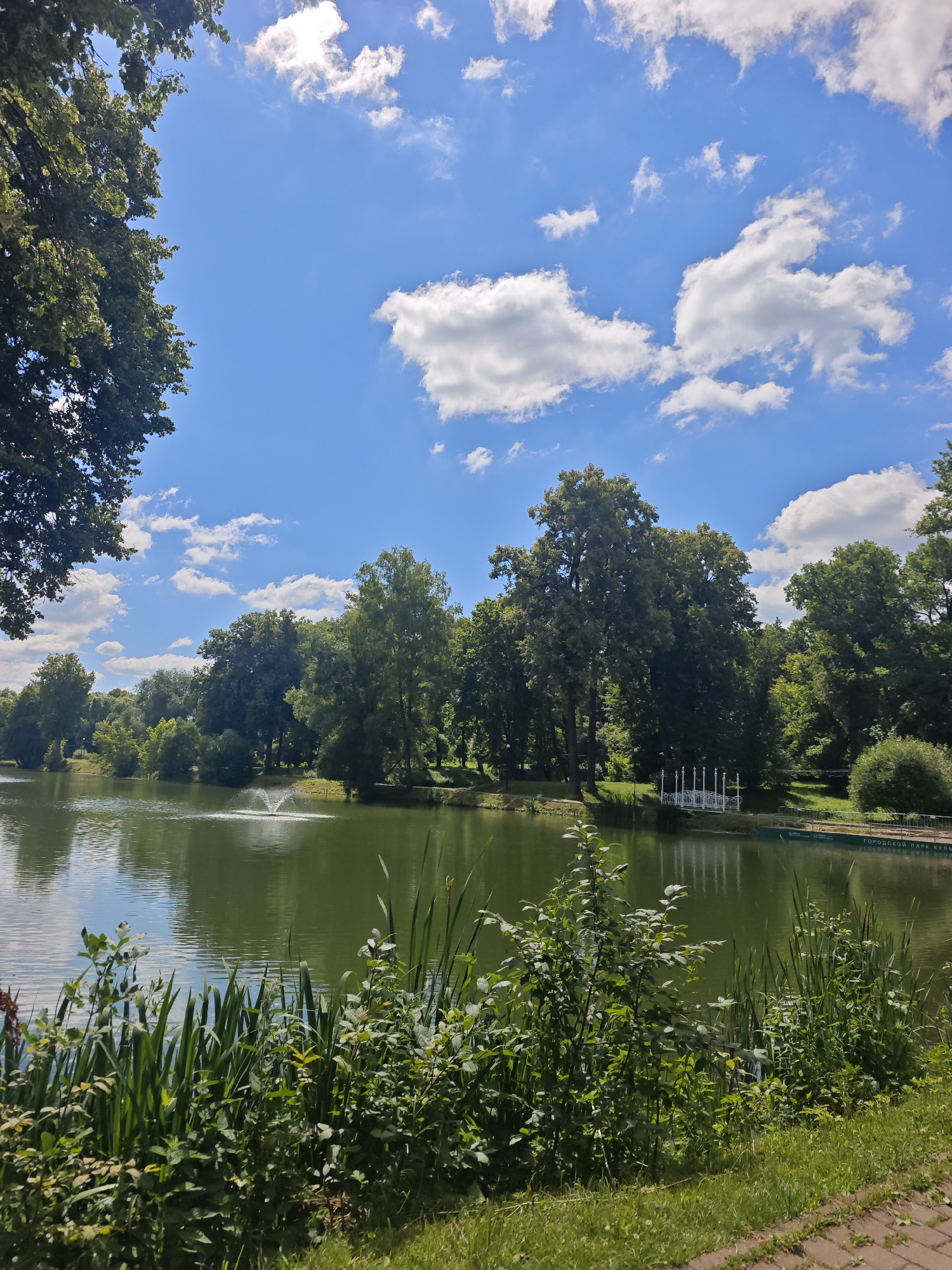 This media file depicts a tranquil park scene on a sunny day. The foreground is dominated by lush green grass and a variety of vegetation, including tall reeds and leafy bushes, bordering a calm body of water. In the middle ground, the water of a lake reflects the blue sky and the surrounding trees. A fountain sprays water in the distance, adding a touch of movement to the otherwise still scene.
Beyond the lake, a dense line of mature trees forms a verdant backdrop. On the far bank of the lake, a white, ornate gazebo or pavilion is visible, suggesting a place for visitors to relax or gather. A boat dock, with Cyrillic text that appears to read "ГОРОДСКОЙ ПАРК КУЛЬТ" (City Park of Culture), is also present along the water's edge. The sky above is a bright blue, dotted with fluffy white clouds, indicating pleasant weather. The sunlight suggests it is daytime, likely midday or early afternoon.
The overall atmosphere is peaceful and serene, evoking a sense of natural beauty and leisure. There are no people visible in the frame, emphasizing the quiet and natural aspect of the park. The location is identified as Chekhov, Russia.
