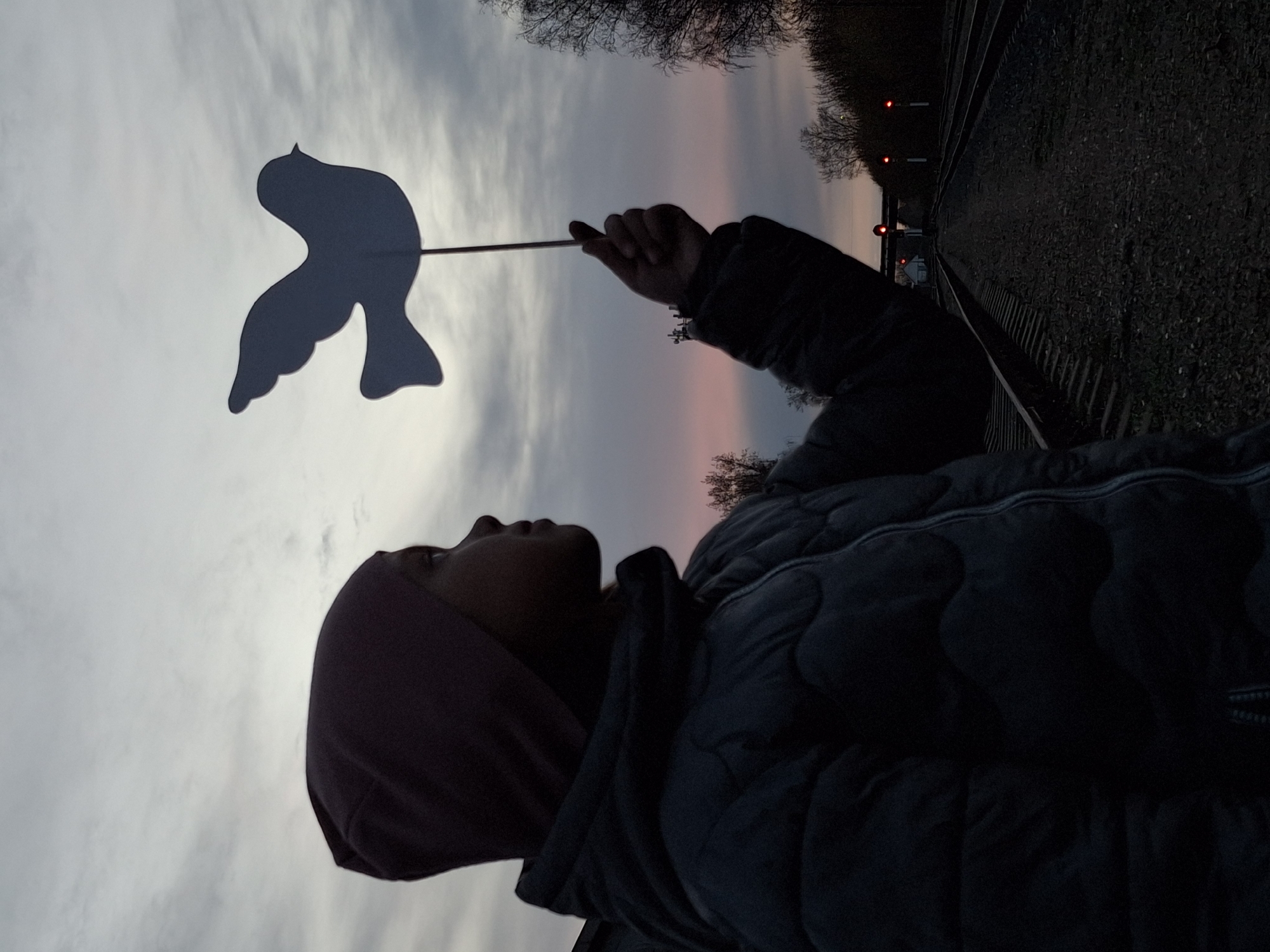 The image, taken in Chaikovsky, Russia, depicts a person in profile, looking upwards and holding a dove-shaped cutout against a dramatic sky. The person, positioned on the left side of the frame, wears a dark head covering (possibly burgundy) and a dark, padded winter jacket, with their face and figure largely silhouetted against the brighter background. They extend their right arm upwards, holding a white, dove-shaped figure on a thin stick, which appears dark due to backlighting.
The sky, a dominant element, shows a transition from light gray and cloudy overhead to soft hues of pink and orange closer to the horizon, strongly suggesting either sunrise or sunset. In the background, stretching along the right side of the frame, are railway tracks with gravel ballast. Several red signal lights are visible along the tracks, receding into the distance. Bare tree branches line the horizon, indicating a colder season like winter or early spring.
The activity involves the person holding the symbolic dove aloft, perhaps in a gesture of hope, contemplation, or peace, observing the sky. The notable details include the striking twilight colors of the sky, the presence of railway infrastructure, and the silhouetted forms which lend a contemplative atmosphere to the scene. There is no visible text in the image.