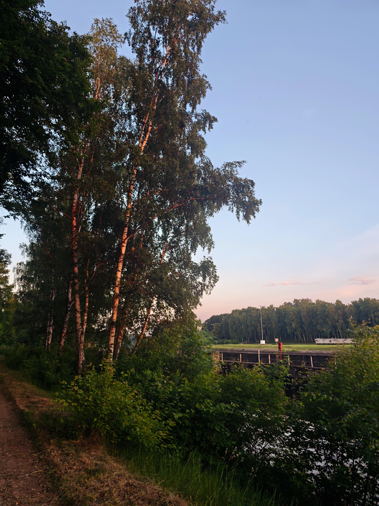 The image depicts a serene natural landscape, likely in the vicinity of Водник Снт, Russia, during what appears to be either sunrise or sunset. In the foreground, a dirt path runs along the left edge, bordered by lush green vegetation and dry grass. A cluster of birch trees with distinctive white bark, illuminated by warm light, dominates the left and central portion of the scene, their leaves forming a dense canopy against a pale blue sky.
Beyond the trees, a body of water is visible, its surface reflecting the sky. Across the water, a long, dark structure, possibly a bridge or dam, spans the width of the image. On this structure, a lone figure dressed in red stands near a red marker, facing away from the camera. Further in the background, a dense line of trees forms a dark green horizon, with a white structure, potentially a building or vehicle, partially visible behind them. The sky transitions from a clear blue at the top to a soft pink hue near the horizon, suggesting the ambient lighting conditions.
