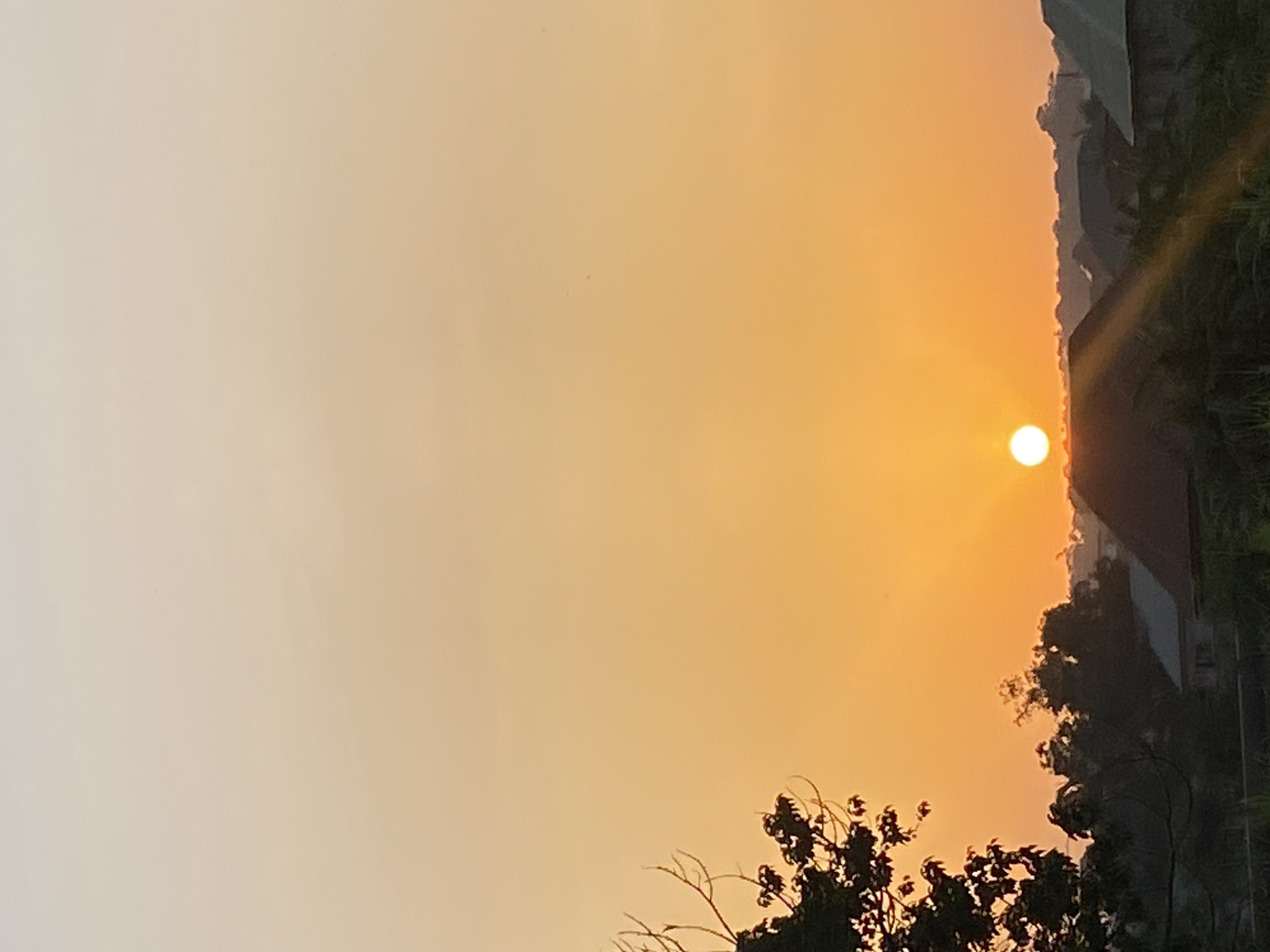 The image is an outdoor shot of what appears to be a sunset or sunrise. The sky is a gradient of orange, with the sun visible near the horizon. Silhouetted trees and what appear to be rooftops of buildings are visible in the foreground. The location is suspected to be in Sabon Tasha, Nigeria. No people are visible. The primary subjects are the sun, sky, trees, and buildings. There is no interaction visible in the scene.