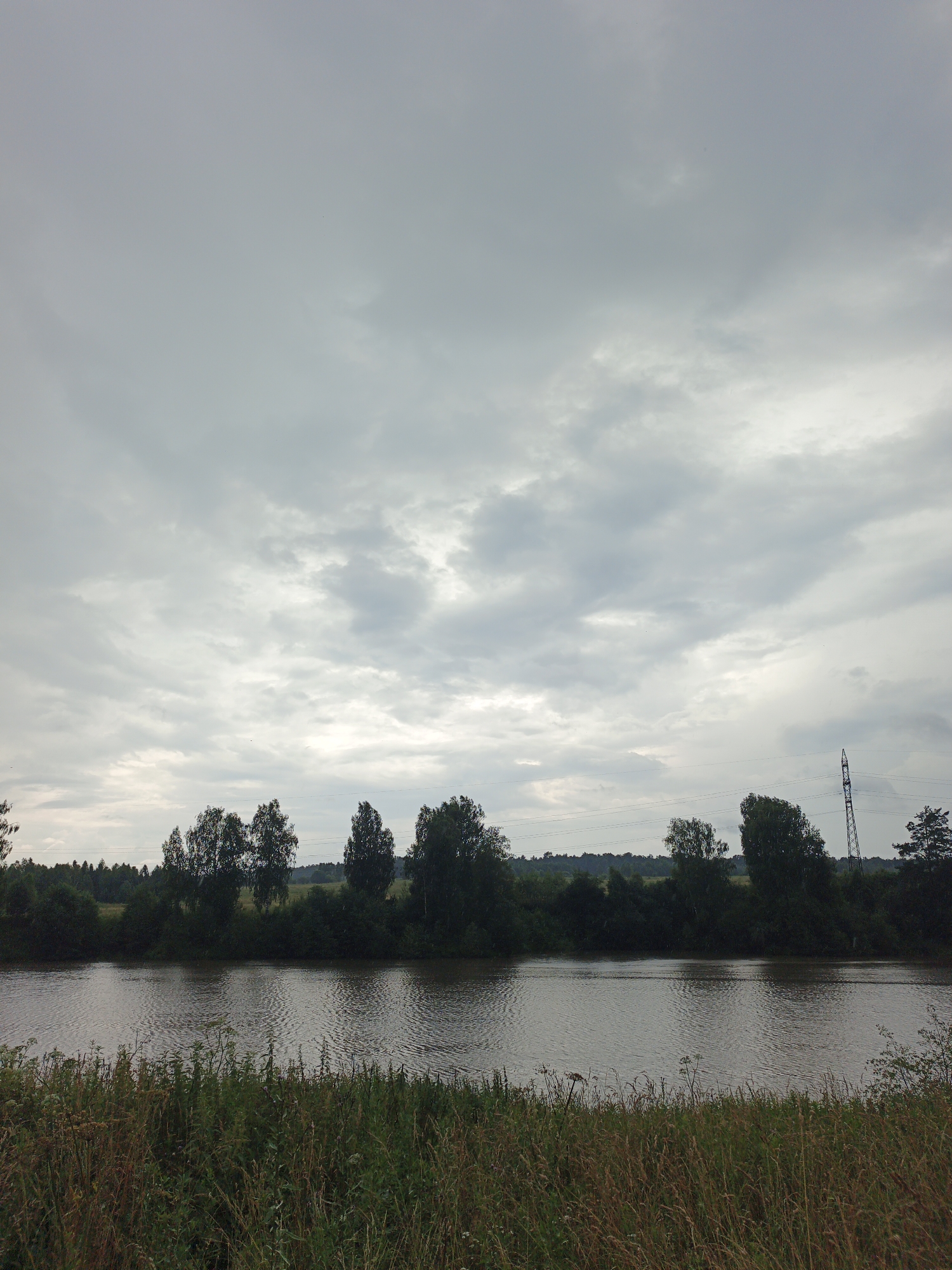 This is a photograph of a wide river under a cloudy sky. The river occupies the lower half of the image, reflecting the overcast sky. The banks of the river are lined with dense green vegetation, including trees and tall grass. In the distance, a line of trees forms a dark silhouette against the horizon. To the right, a tall, slender pylon with power lines stretching across the sky is visible, indicating the presence of human infrastructure in the natural landscape. The scene appears to be located in a rural or semi-rural area, with the natural environment dominating the view. The sky is a uniform gray, suggesting it might be a slightly overcast or gloomy day. The water is calm, with gentle ripples indicating a slight current. There are no people or animals visible in the image. The overall impression is one of a quiet, natural landscape.