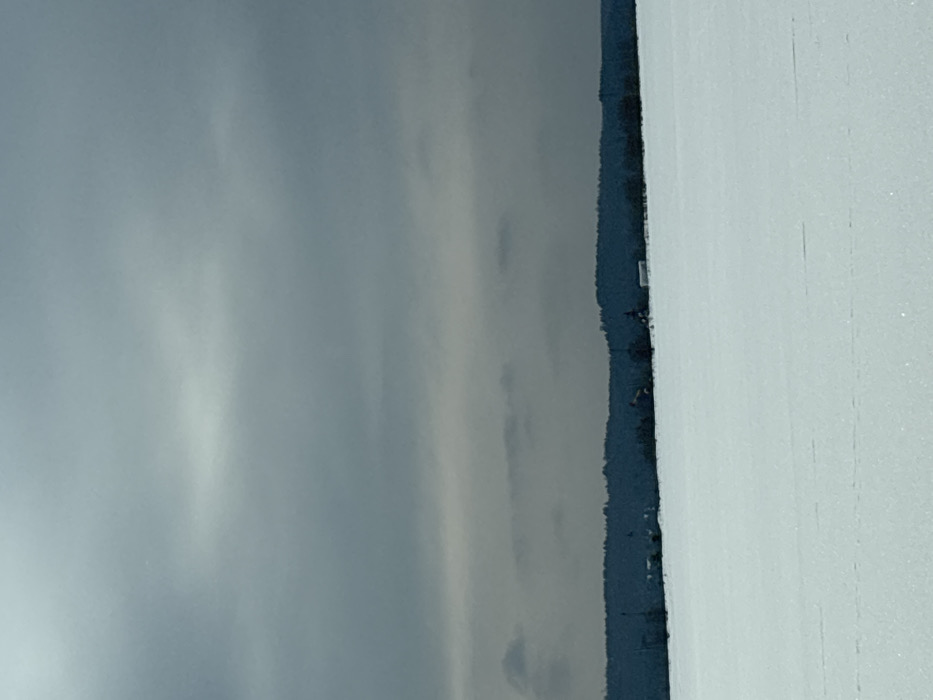 A winter landscape in Ustinovo, Russia, is depicted under an overcast, grey sky. The lower two-thirds of the image are dominated by an unbroken expanse of white snow, displaying minor surface undulations. A dark, dense tree line, forming a horizontal band, separates the snow-covered ground from the sky. Within or directly behind this tree line, several small, indistinct structures consistent with distant buildings are faintly visible. The sky occupies the upper third, composed of layered grey clouds, with a localized brighter area in the upper-central region. No persons or activities are present within the frame.