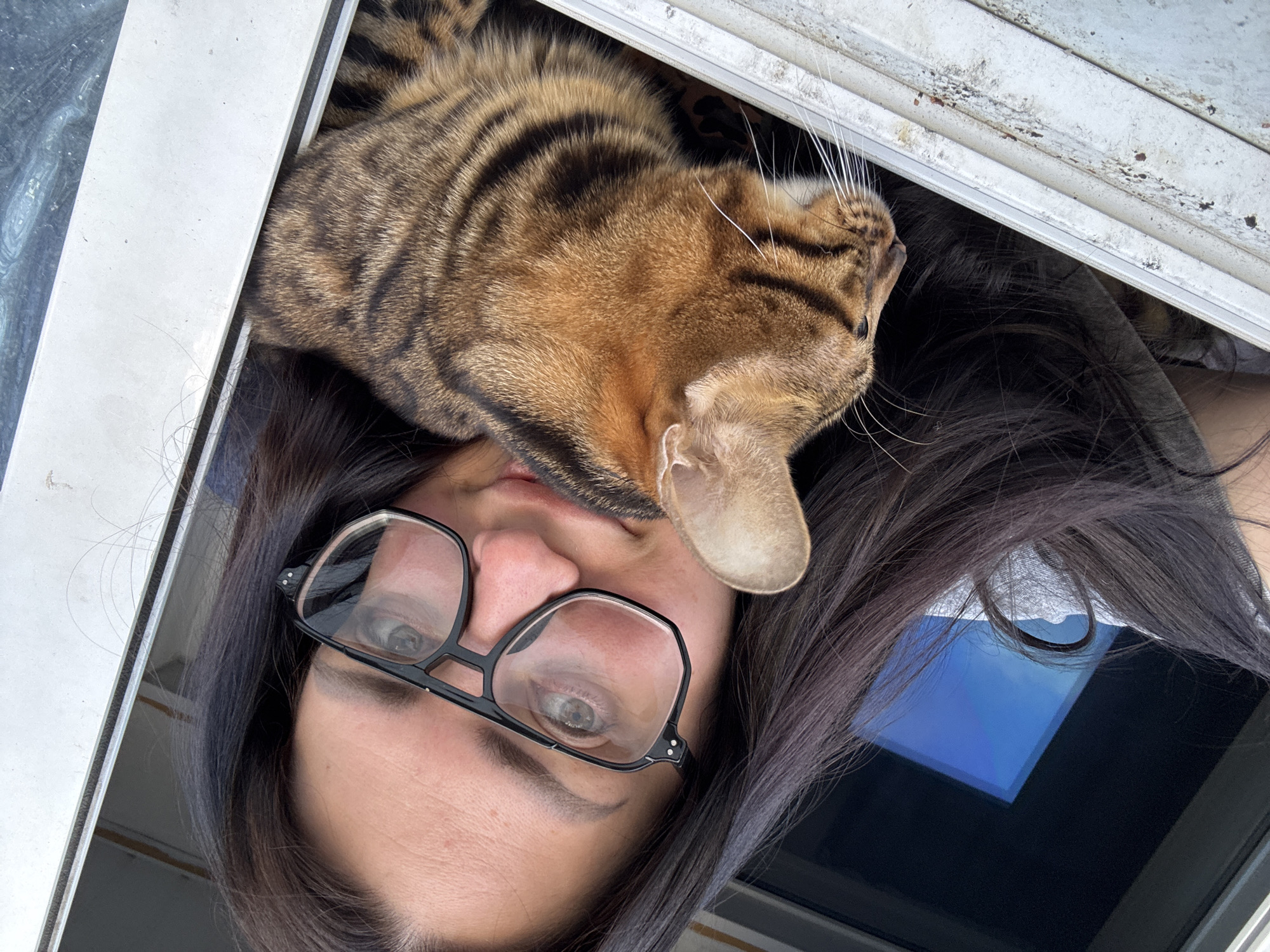 A medium, canted angle shot captures a person with dark hair and glasses in the foreground, with a brown and black striped cat nestled above their head, seemingly emerging from a window frame. The woman's face is clearly visible, with light eyes and dark eyebrows framed by her glasses. Her dark hair surrounds her face and fills part of the frame. Above her, the cat rests comfortably, its striped fur prominent, with one ear distinctly visible. A window frame of white is seen around the subjects. The location is Unknown, Unknown.