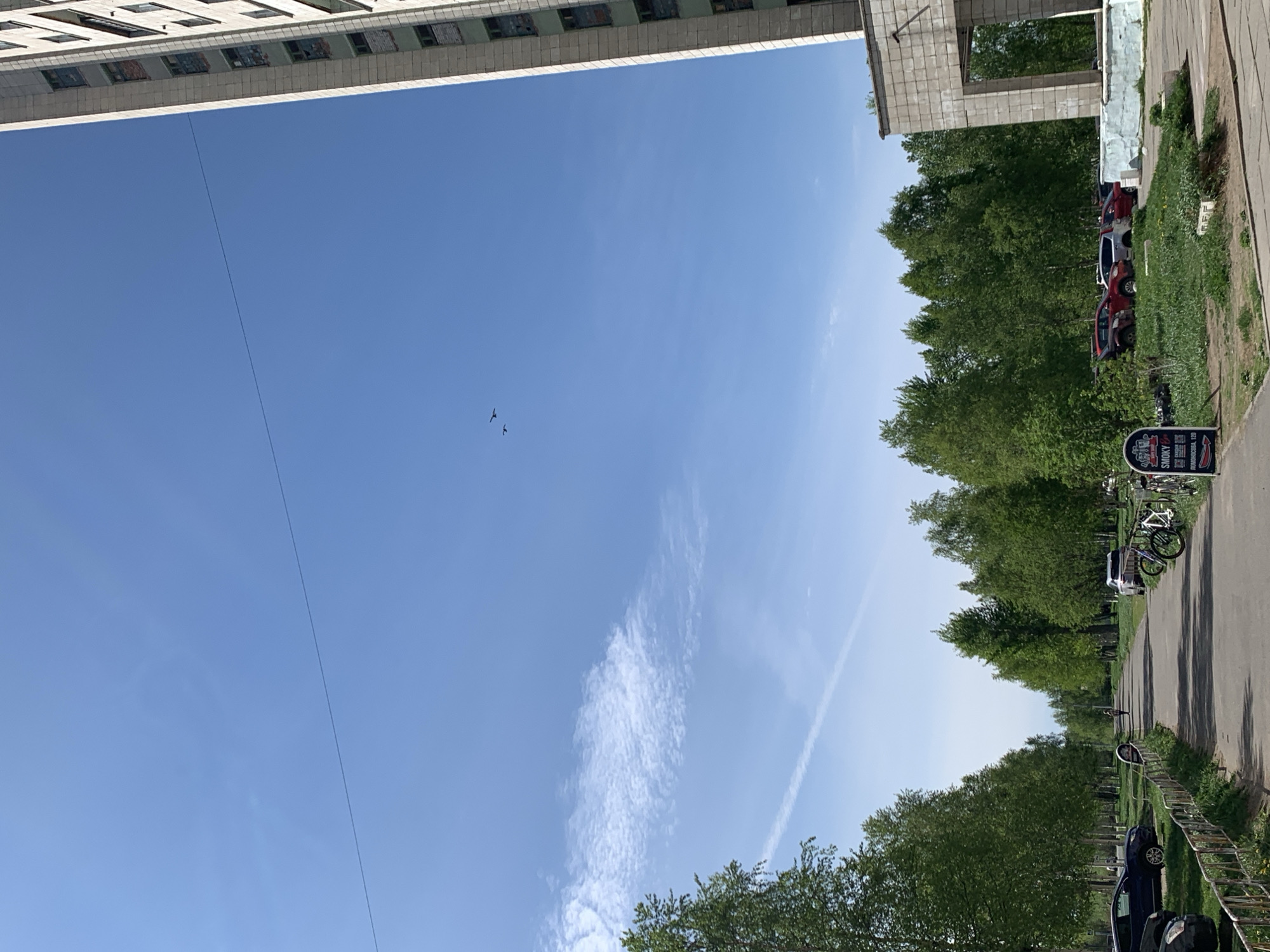 The image depicts a street scene in Severodvinsk, Russia, viewed looking upwards. A section of a tall, multi-story building with multiple windows is visible at the top. Below this, the sky is mostly clear blue with a faint wispy cloud formation. Powerlines cut across the sky. Two birds are flying in the distance. On the right side of the frame is the edge of another building and a sidewalk. Along the sidewalk, several parked cars, bicycles, and a sign are visible, along with trees lining the walkway. A fence runs alongside the sidewalk.