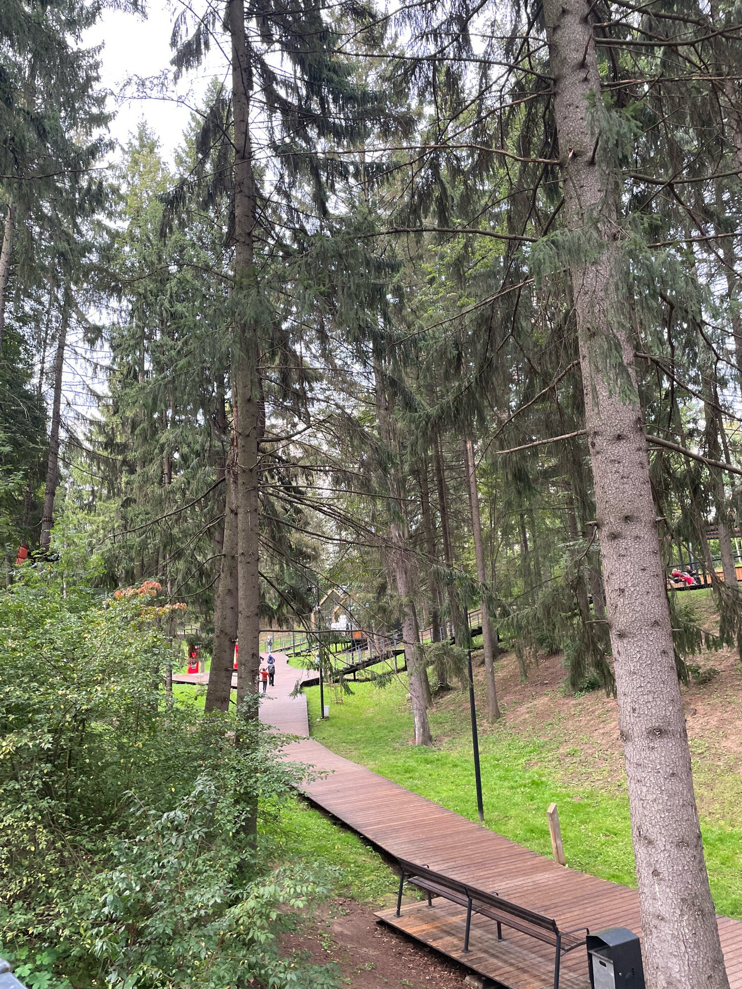 The image depicts a wooden walkway winding through a dense forest. The walkway has a bench on its left side and a trash receptacle on its right. People are visible walking on the path in the distance, and some are interacting with what appears to be an elevated structure or attraction with red elements to their left. The environment is characterized by numerous tall evergreen trees, with lush green grass and some undergrowth. The sky is overcast, suggesting a cloudy day. The scene suggests a recreational area within a forest, possibly a park or an outdoor adventure attraction.