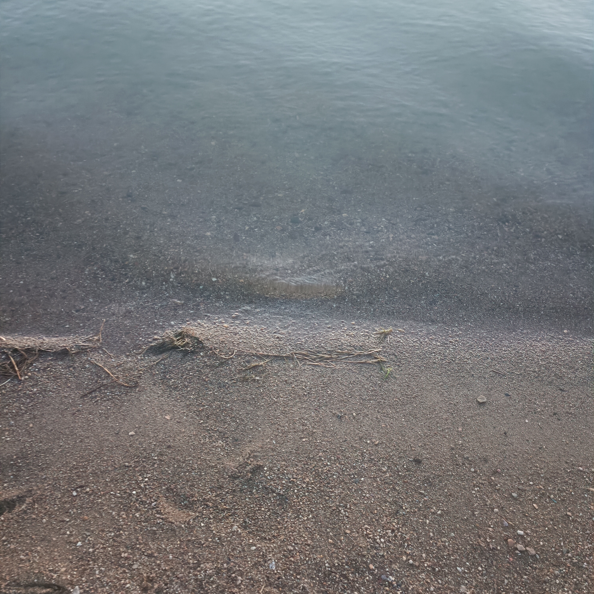 The image shows a close-up view of a shoreline, likely a lake or river, with shallow water lapping against a gravelly beach. The water is murky and transparent enough to see the pebbles on the bottom. A few pieces of dry vegetation, possibly reeds or grass, are scattered along the waterline. The sand on the beach is coarse, mixed with small stones and some darker soil. The overall scene is natural and appears to be located in an outdoor environment. The image does not depict any people or specific landmarks that would definitively place it in Kokshetau, Kazakhstan, or any other particular city.
