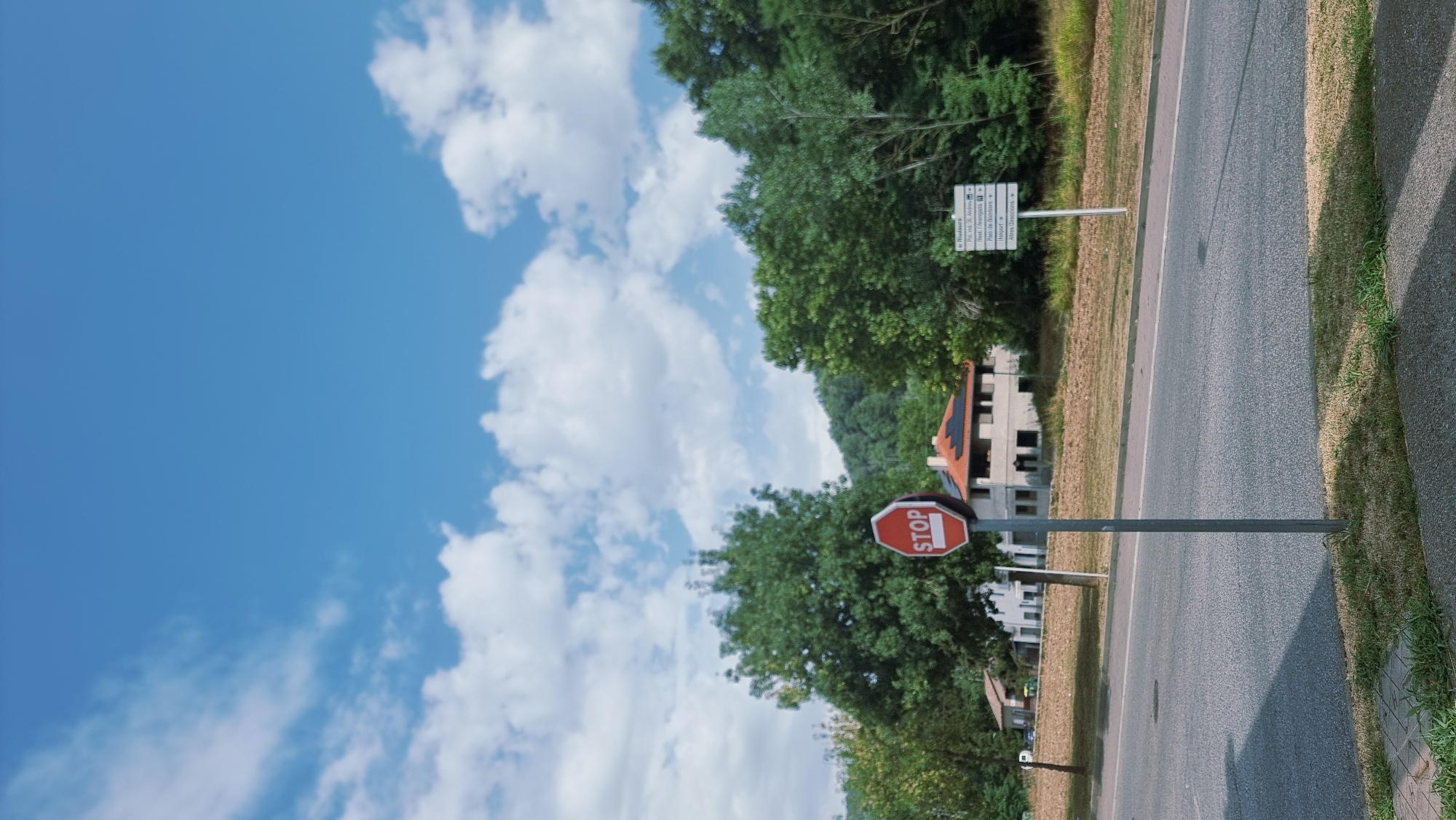The image depicts a street scene in Olot, Spain, under a bright blue sky with scattered white clouds. In the foreground, a paved road runs horizontally across the frame, with a strip of grass and a sidewalk on the left. A prominent red octagonal stop sign stands on a metal pole near the center of the image, facing the viewer. To the right of the stop sign, a white directional sign with multiple arrows and place names is visible.
In the middle ground, a building with a reddish-orange tiled roof is under construction or renovation, with scaffolding and unfinished elements. Several trees with lush green foliage surround the building and extend towards the background, where a wooded hillside is visible. The environment appears to be a suburban or semi-rural area. There are no people or animals in the frame.