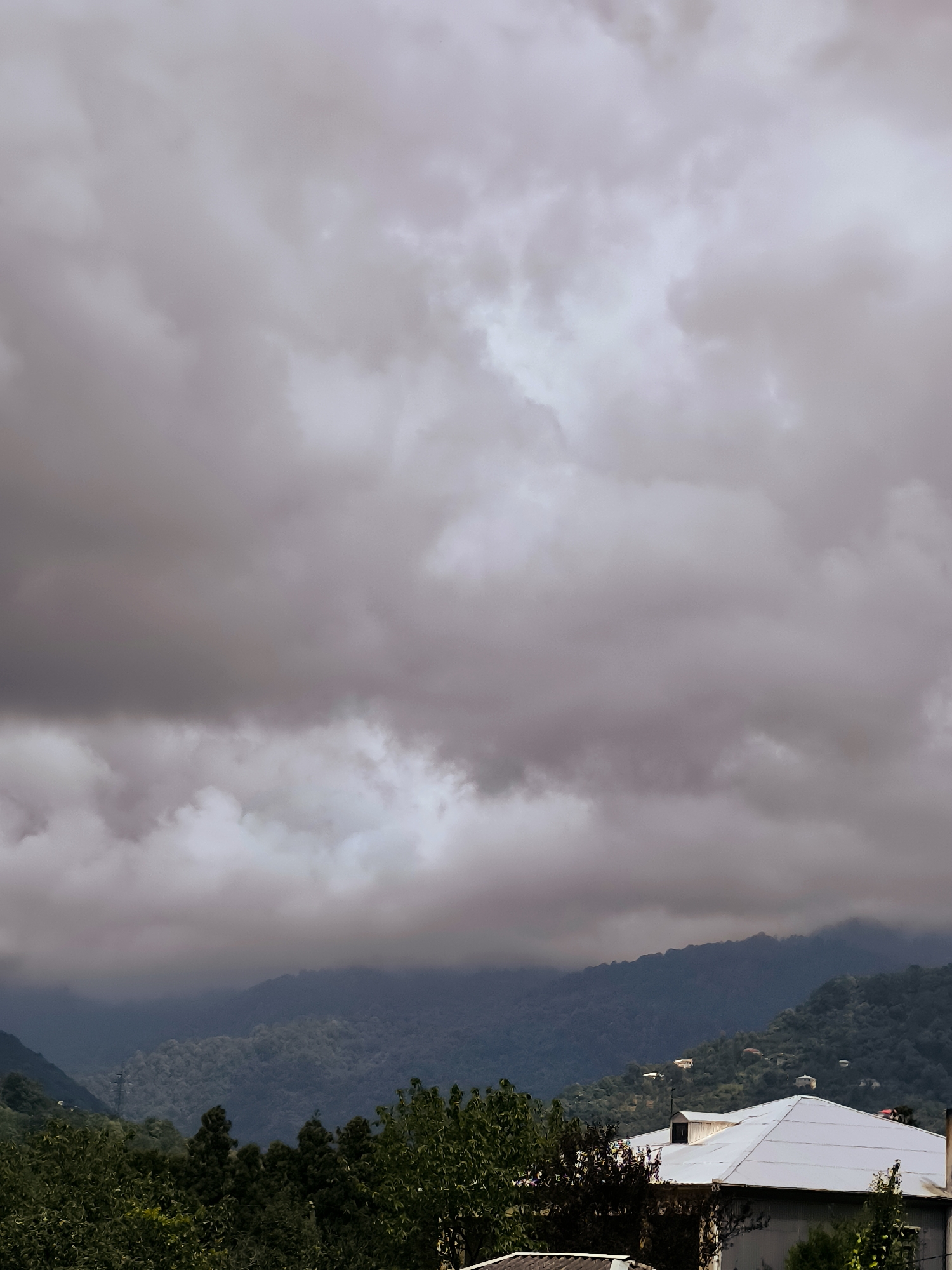 The image depicts a cloudy, overcast day with a view of rolling, forested hills in the background. In the foreground, the roof of a light-colored building is visible, with some trees in front of it. The atmosphere appears damp and possibly humid. The scene is likely a residential area, given the presence of the building and the visible trees. The time of day is indeterminate due to the lack of direct sunlight, but the cloudy conditions suggest it could be morning or afternoon. There are no people or animals visible in the image. The image composition is a landscape view, focusing on the natural environment and a man-made structure. The location is implied to be in the city of Batumi, Georgia, a coastal city known for its lush, mountainous surroundings.
