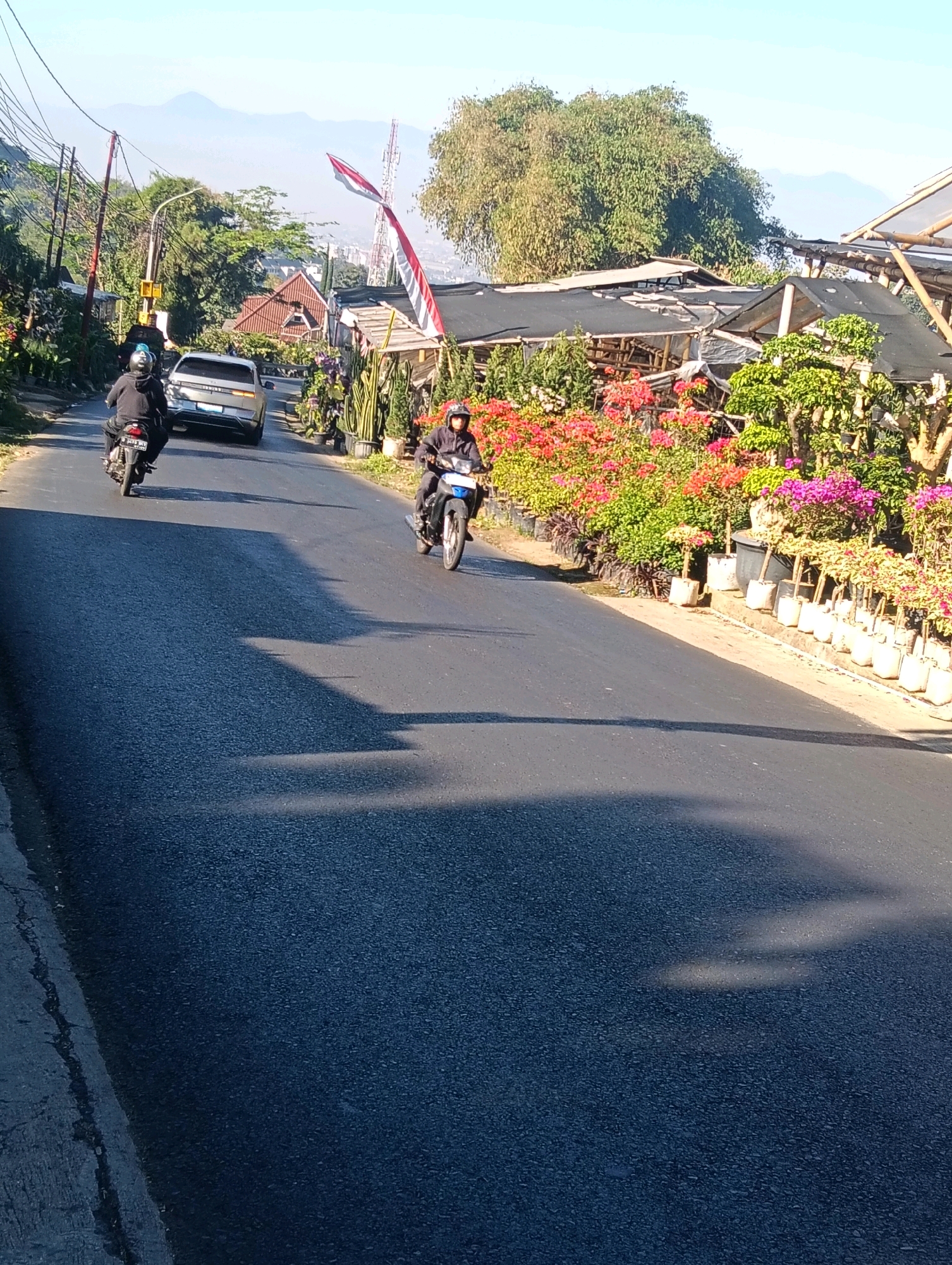 In the city of Gudangkahuripan, Indonesia, on a paved road, two individuals are riding motorcycles. The person on the left is riding a black motorcycle with a license plate that reads "J 5989 SKN". They are wearing a black jacket and a blue helmet. The person on the right is riding a blue and white motorcycle and is wearing a dark jacket and a red helmet. A silver car is driving in the same direction as the motorcycles, ahead of the rider on the left. The road is lined with numerous potted plants, including flowering bougainvillea in vibrant shades of pink, red, and purple. Some plants are arranged in black bags, while others are in white pots. Several bamboo structures with dark fabric coverings are present along the roadside, suggesting a nursery or market. In the background, lush green trees and distant mountains are visible under a clear blue sky. The scene is illuminated by sunlight, casting long shadows across the road. A red and white flag is displayed on a pole, possibly indicating a national holiday or event. Power lines are also visible stretching across the scene.