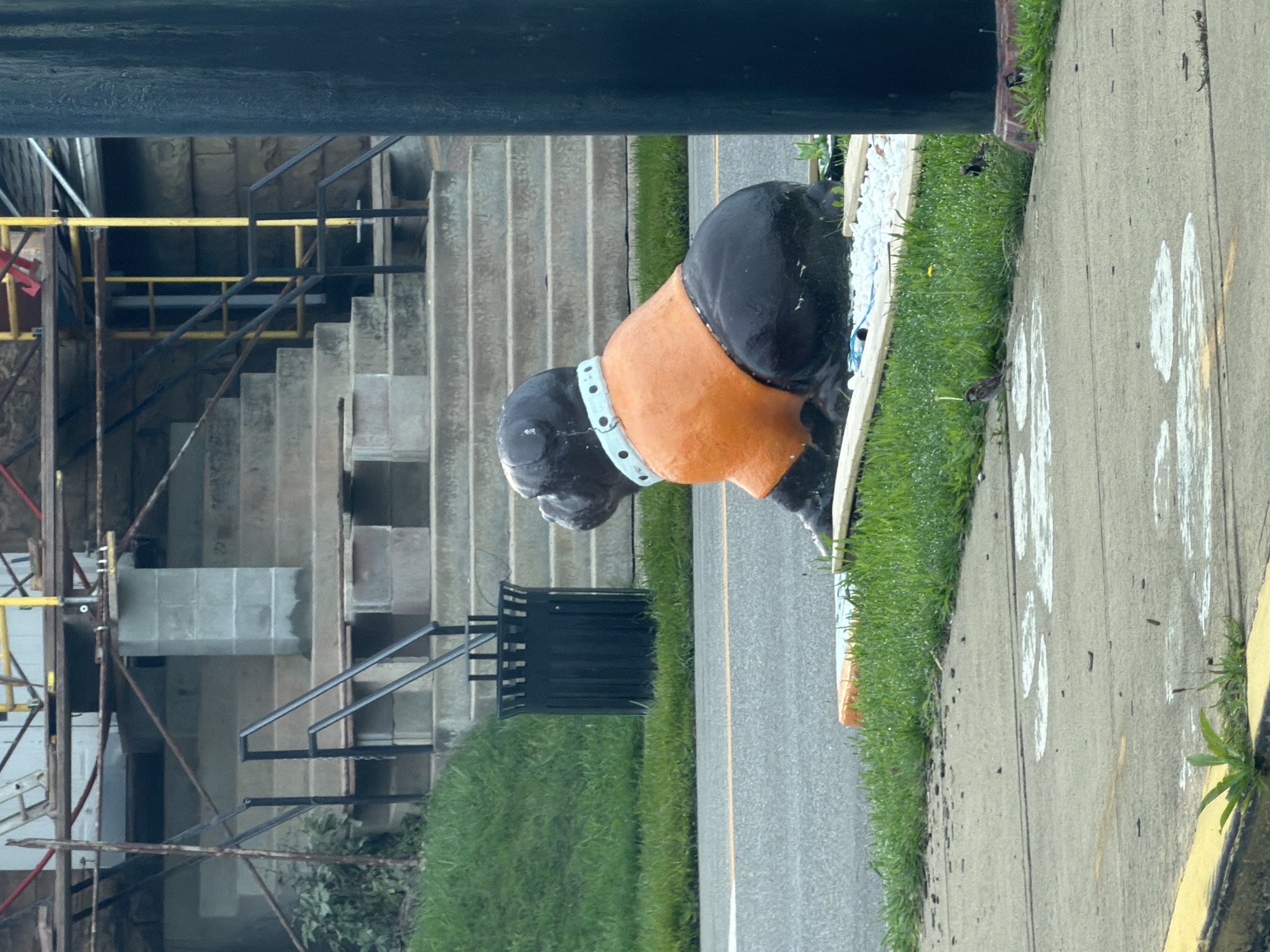 The image shows a statue of a black dog wearing an orange shirt and a white collar with blue dots. The dog statue is sitting on a patch of grass next to a road. In the background, there is a set of stairs leading up to a building that appears to be under construction, with scaffolding visible. A black trash can is located on the grass to the left of the stairs. The scene is outdoors, with a sidewalk in the foreground. The location is East Palestine, United States of America.
