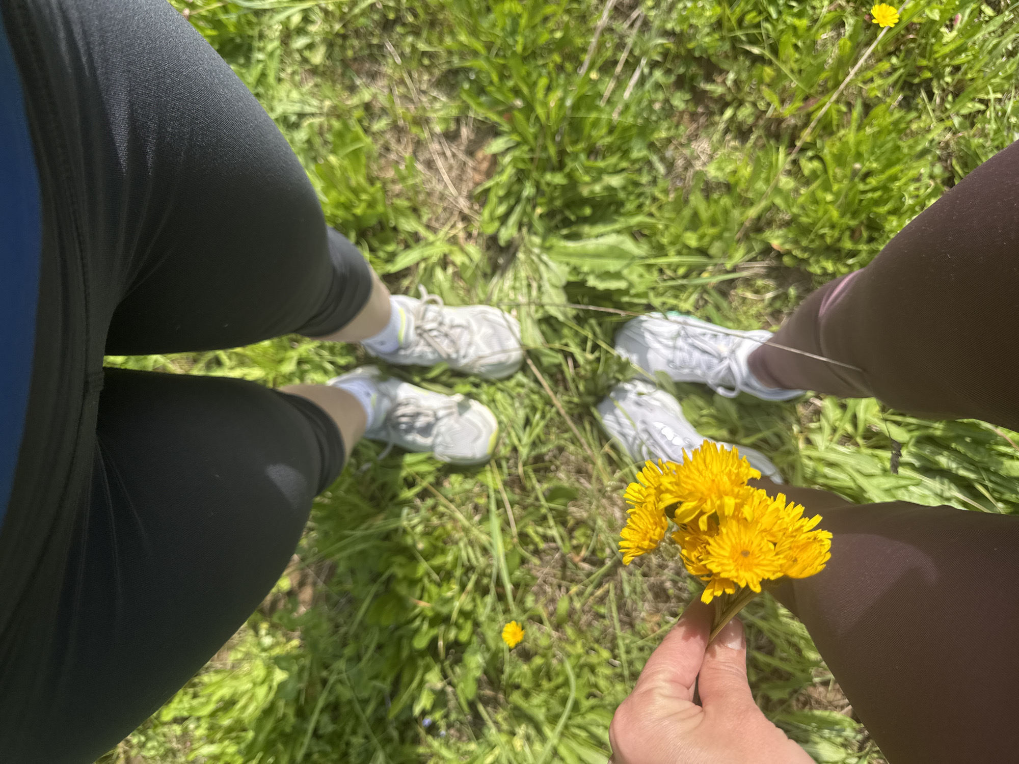This high-angle shot captures the lower bodies of two individuals standing or sitting in a grassy area on a sunny day in Chaikovsky, Russia. The bright light and clear shadows suggest midday conditions. Both subjects are wearing athletic attire: one has black leggings with a blue stripe and light-colored sneakers with yellow accents, while the other wears dark brown/maroon leggings and white/grey sneakers. In the foreground, a hand, belonging to the person in dark leggings, holds a small, freshly picked bouquet of vibrant yellow dandelions. The ground is covered in lush green grass, with several dandelions visible, including a single one near the center of the frame. The scene conveys a relaxed outdoor moment, possibly during a walk or leisure time in a park or field. There is no visible text in the image.