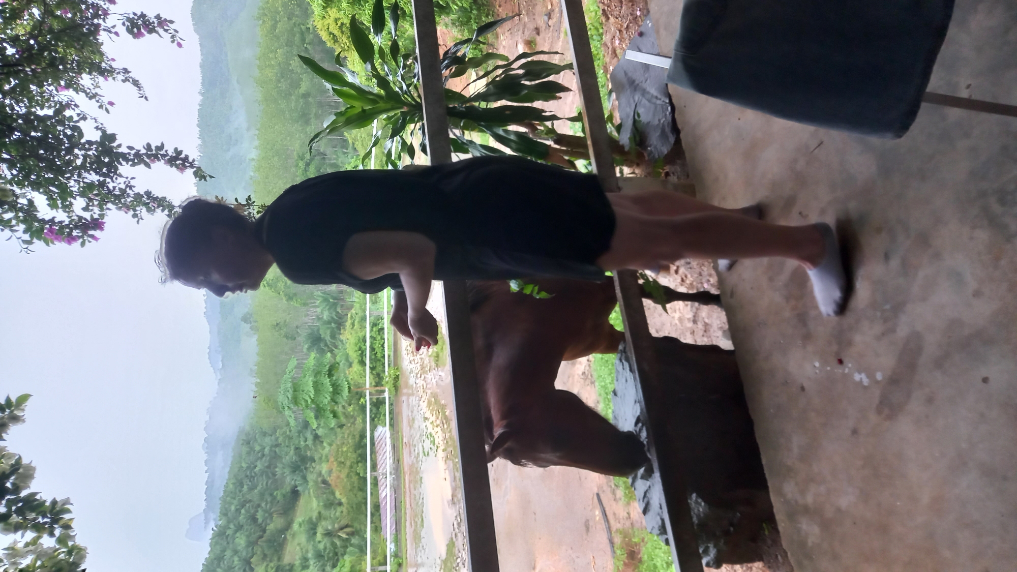 A photograph taken from a porch shows a person in Ban Tak Daet, Thailand, leaning over a rail to observe a brown horse. The person wears a dark top and shorts with white socks. The horse is eating or drinking from a trough. The background shows a landscape with lush greenery and misty mountains. A chair is partially visible on the right side of the porch. The overall impression is one of a rural setting.