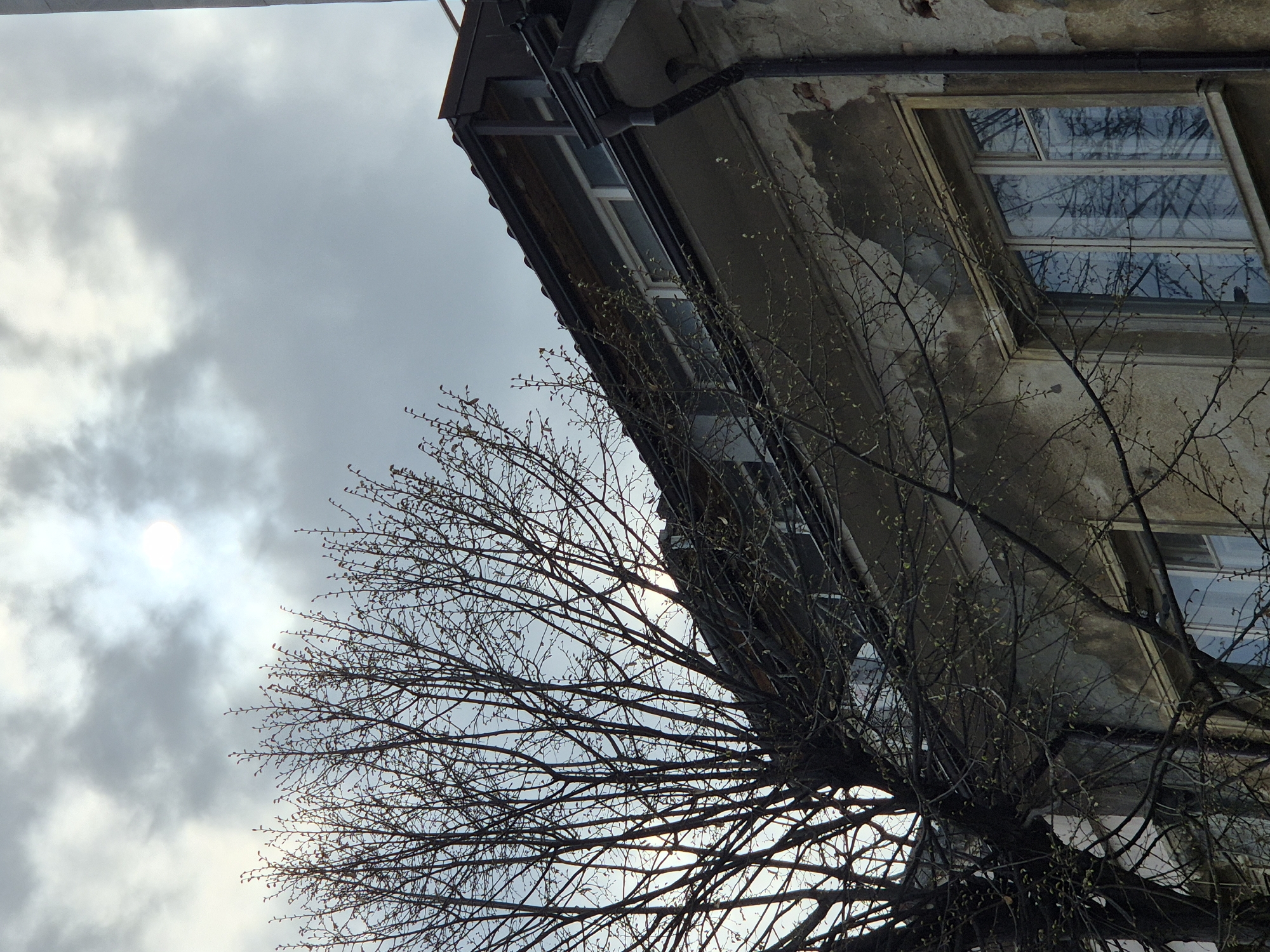 The image depicts a low-angle view of an old building in Varna, Bulgaria, with a bare tree in the foreground against a cloudy sky. The building is weathered with visible signs of age and decay, featuring windows with reflections of the sky and branches. The sky is overcast, with a hazy sun visible through the clouds. The tree is without leaves, though small buds are visible.