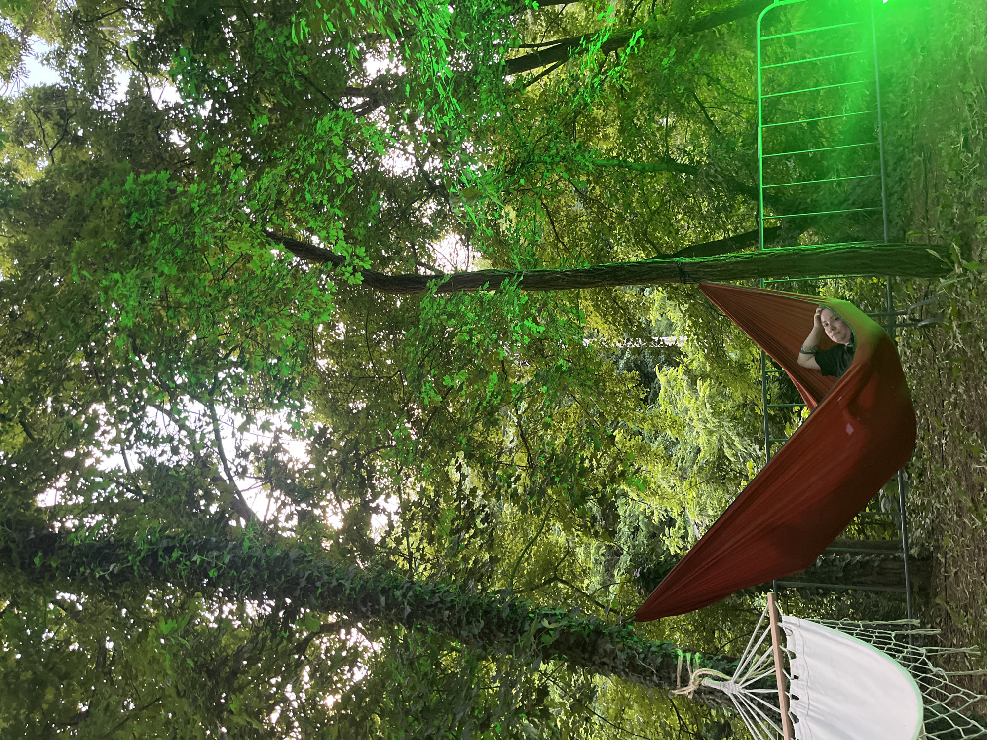 This vertical-format photograph depicts an outdoor scene within a densely treed environment, located in Sremski Karlovci Municipality, Serbia. The scene is illuminated by natural daylight filtering through a thick canopy of green leaves, supplemented by prominent artificial green light projecting onto tree trunks, foliage, and metal barrier structures.
In the lower-center, a single individual, appearing male, is observed reclining on their back within a red fabric hammock. Their head rests against the hammock's edge, with the left arm bent and the hand positioned behind the head. The individual is wearing a dark-colored t-shirt. The red hammock is suspended between two trees. To the immediate left, a portion of a second, white fabric hammock, featuring wooden spreader bars and rope netting, is partially visible.
The surrounding environment consists of numerous trees with dense green foliage. A prominent, thick tree trunk on the left side of the frame is heavily covered in ivy. Other tree trunks are also visible, including a slimmer one to which the red hammock is attached. The ground beneath the hammocks and trees is covered with scattered leaves and exposed earth. In the mid-ground and right side of the frame, a series of metallic crowd control barriers are visible, also illuminated by the artificial green light. Patches of bright white light, indicative of the sky, are discernible through gaps in the tree canopy.