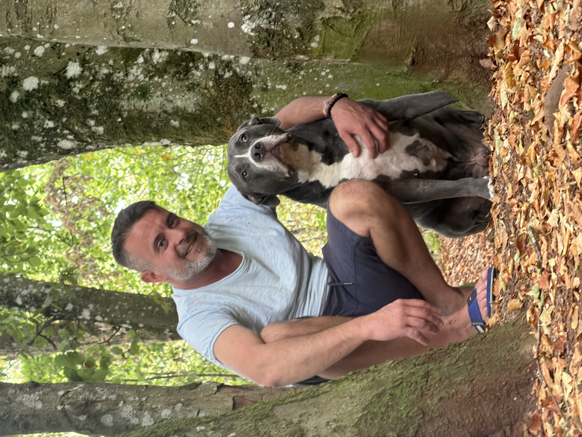 A man and a dog are in a wooded area, with fallen leaves on the ground. The man is crouching and has his arm around the dog, which is sitting next to him. The man is wearing a light blue t-shirt and dark shorts, and the dog is grey and white. The trees are tall and have rough bark. The background is filled with green foliage.