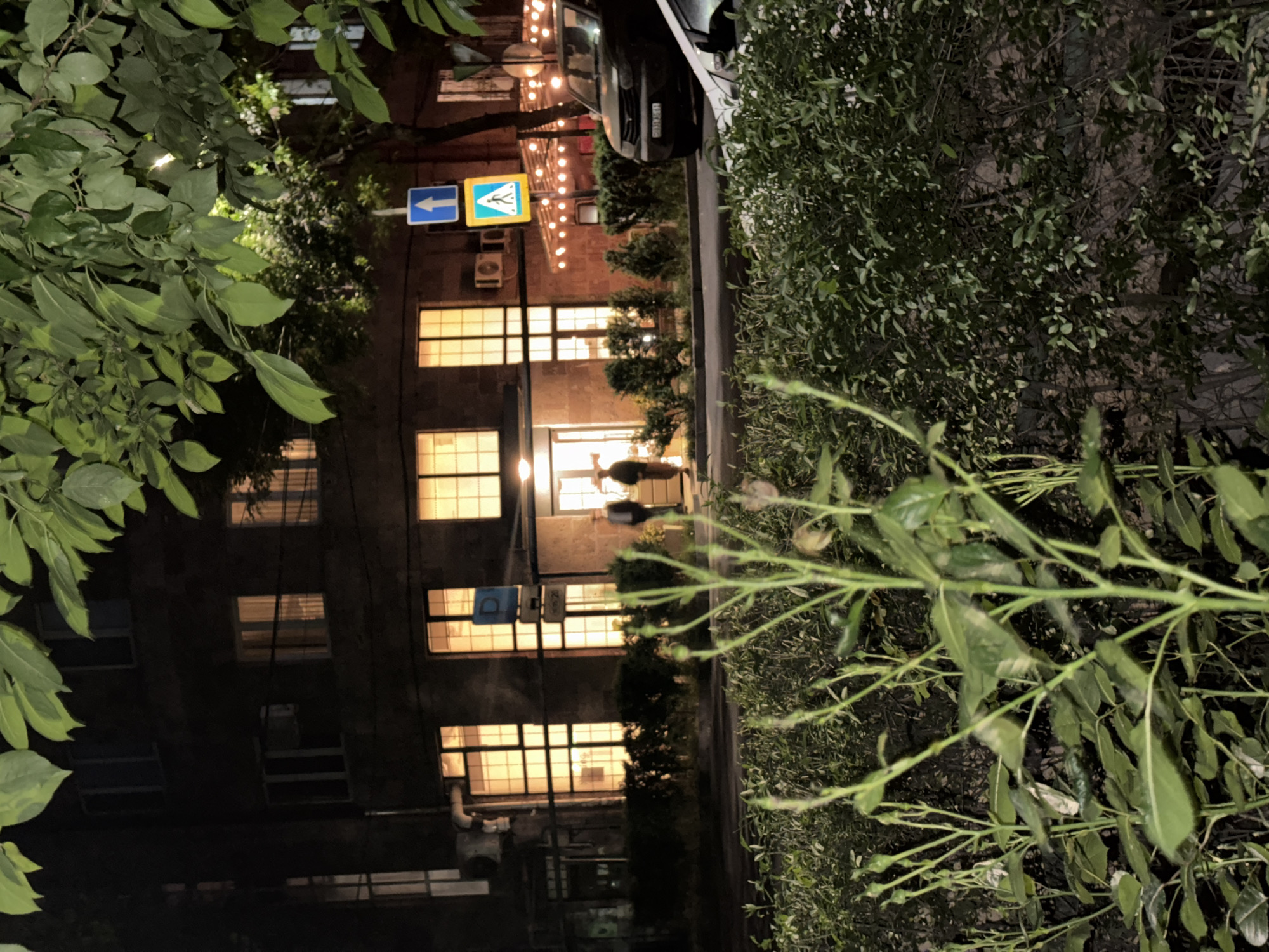 The image depicts a street scene at night in Yerevan, Armenia. A multi-story building with lit windows is visible. Pedestrians are entering or exiting the building's entrance. Street signs, including one indicating a pedestrian crossing, are present. A car is parked on the street. The scene is partially framed by foliage in the foreground. String lights are suspended above the entrance of the building.