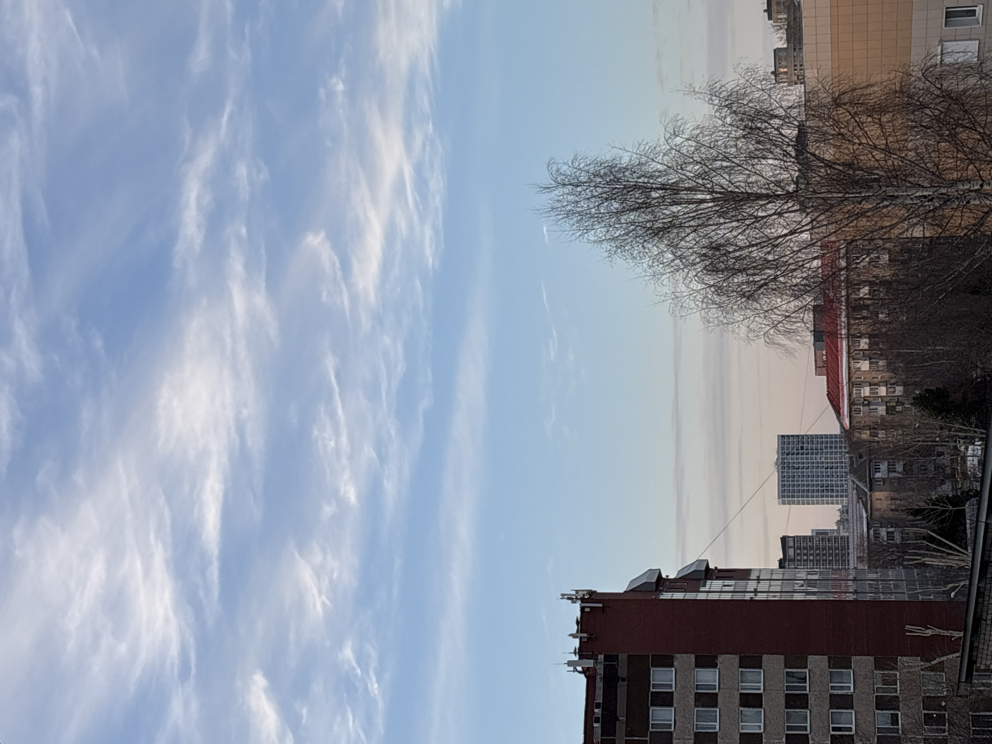 The image shows a cityscape in Perm, Russia, under a partly cloudy sky. The foreground features a multi-story brick building with windows. Behind it, there are several more buildings of various sizes and architectural styles, including a high-rise structure with a grid-like facade. A bare tree with numerous branches is visible near the buildings, lacking leaves. The sky occupies a large portion of the image, displaying wispy clouds against a blue and slightly hazy backdrop.
