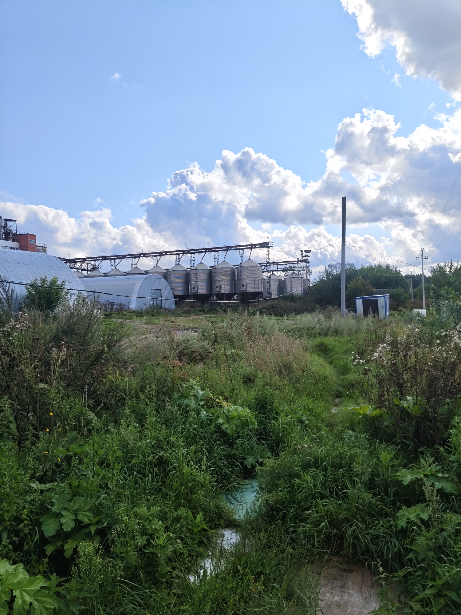 The image captures an outdoor scene in Platoshino, Russia. In the background, a series of large, cylindrical grain silos are elevated on a metal structure. Adjacent to the silos, there are two large, arched industrial buildings with corrugated metal siding. A tall, slender smokestack stands near these structures. The foreground is dominated by dense, overgrown vegetation, including tall grasses and broad-leafed plants. A narrow, unpaved path or overgrown ditch cuts through the greenery. There are no people visible in the image. The sky above is partly cloudy with a mix of bright white cumulus clouds and patches of blue sky. A utility pole with wires is visible on the right side of the frame.
