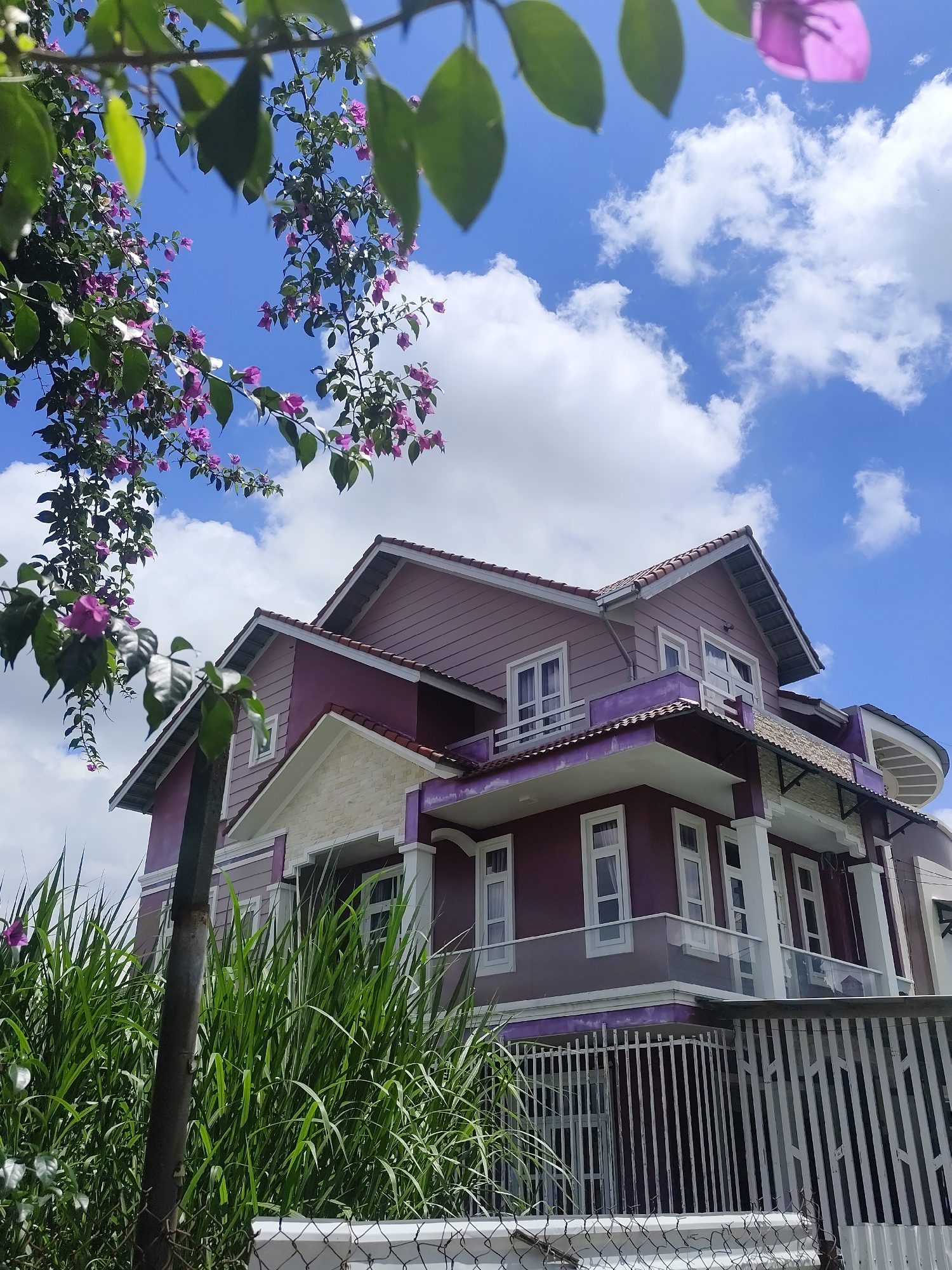In Phường Xuân Hương, Đà Lạt, Vietnam, a two-story house with a distinctive purple exterior and white trim is visible under a bright blue sky with scattered white clouds. The house features multiple windows with white frames and a red-tiled roof. Lush green foliage, including tall grass and flowering vines with purple blossoms, partially obscures the front of the property and a metal fence. A dark pole, possibly a utility post, stands in the foreground. The scene appears to be captured on a clear day, highlighting the vibrant colors of the house and the surrounding vegetation.